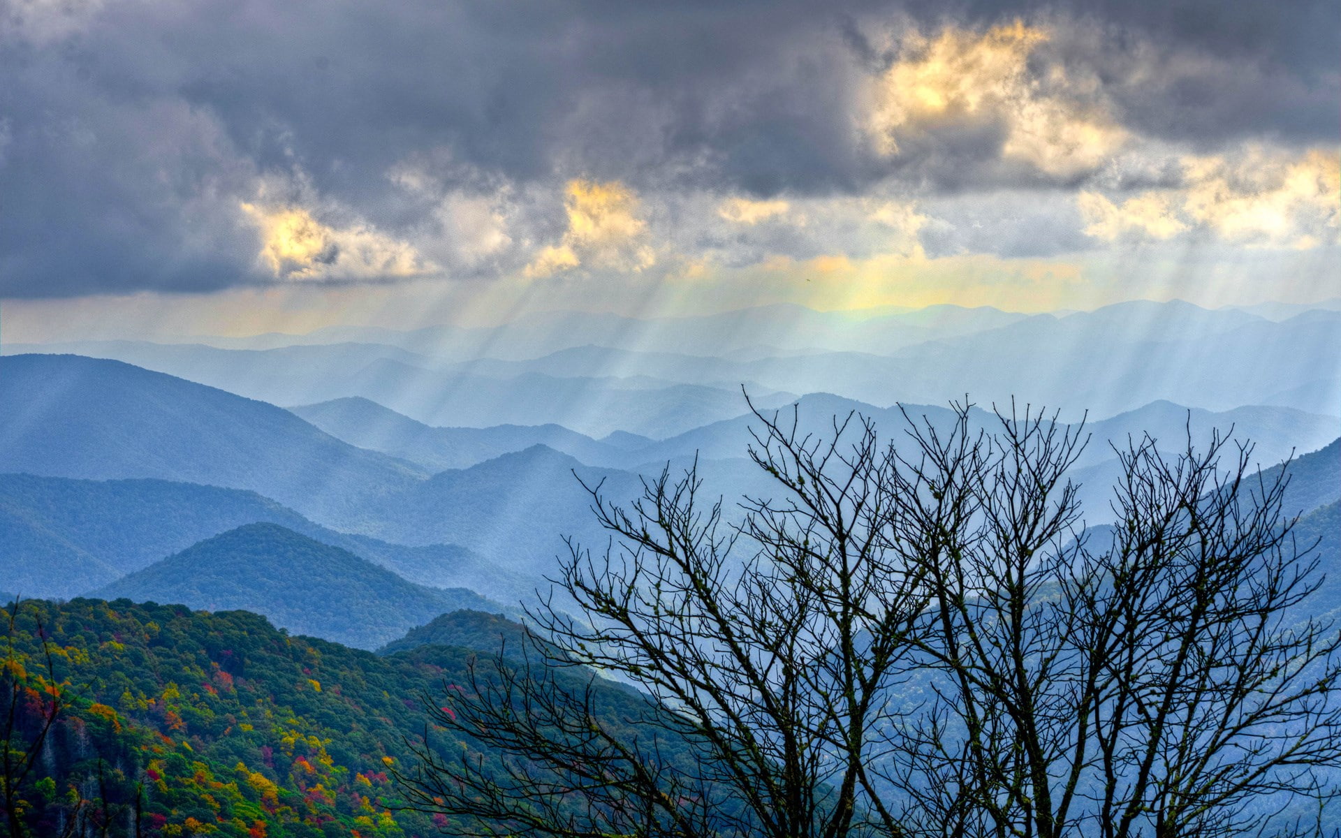 day, mountain peak, tree, beautiful nature  for desktop 1920x1200, non-urban scene, landscape, autumn, tranquility, scenics - nature, no people, environment, HD Wallpaper