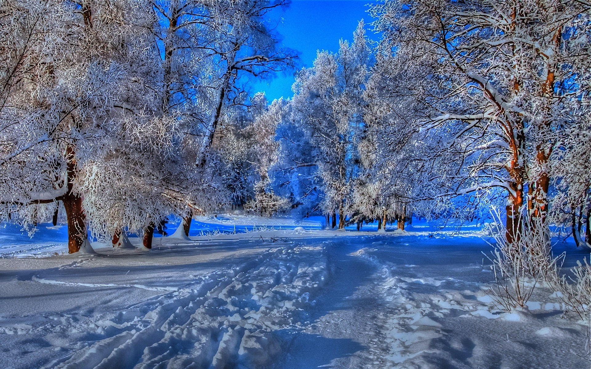 1080P, beautiful nature  desktop  1920x1200, HD Wallpaper