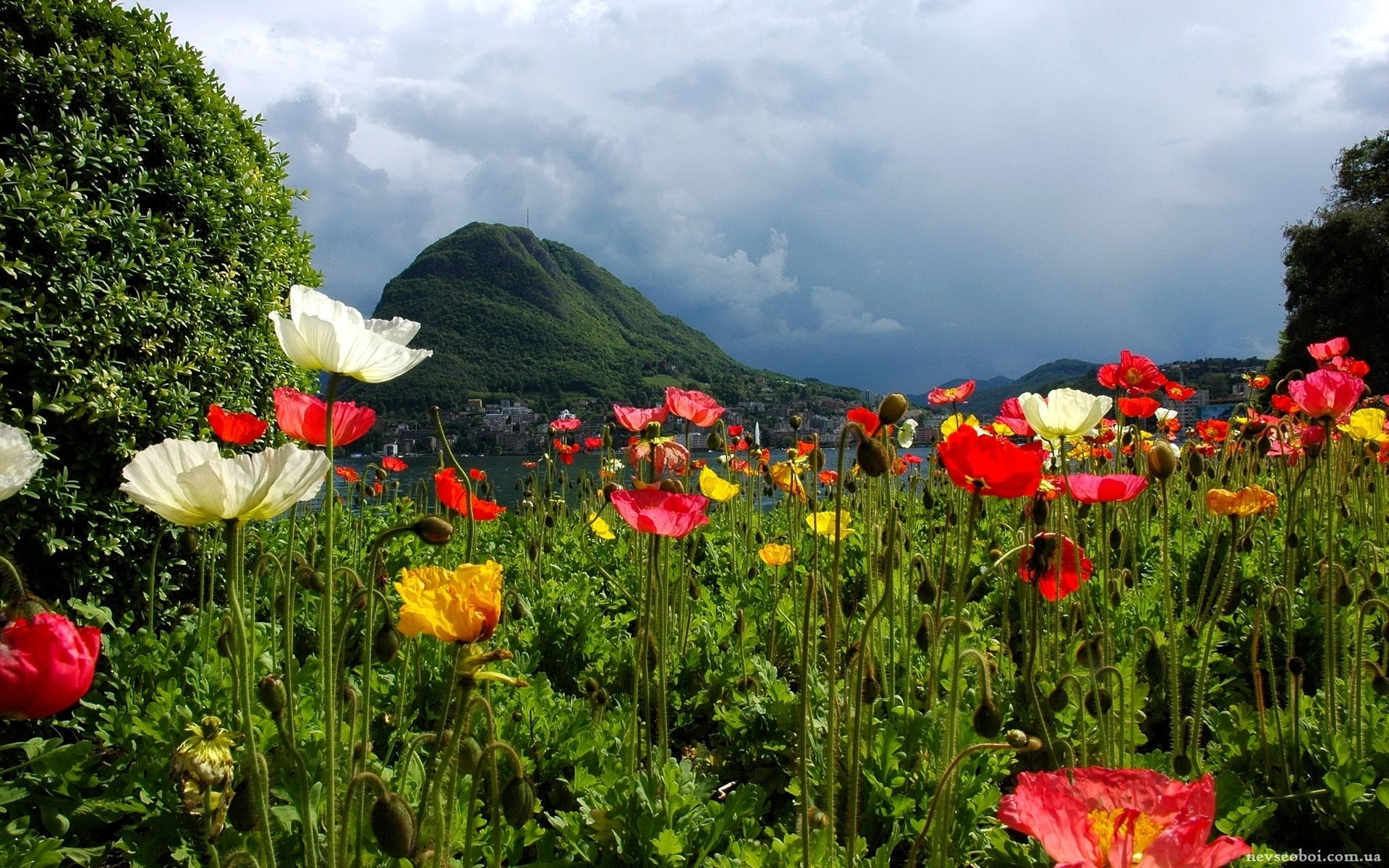 images of natures beauty 1920x1200, 1080P, HD Wallpaper