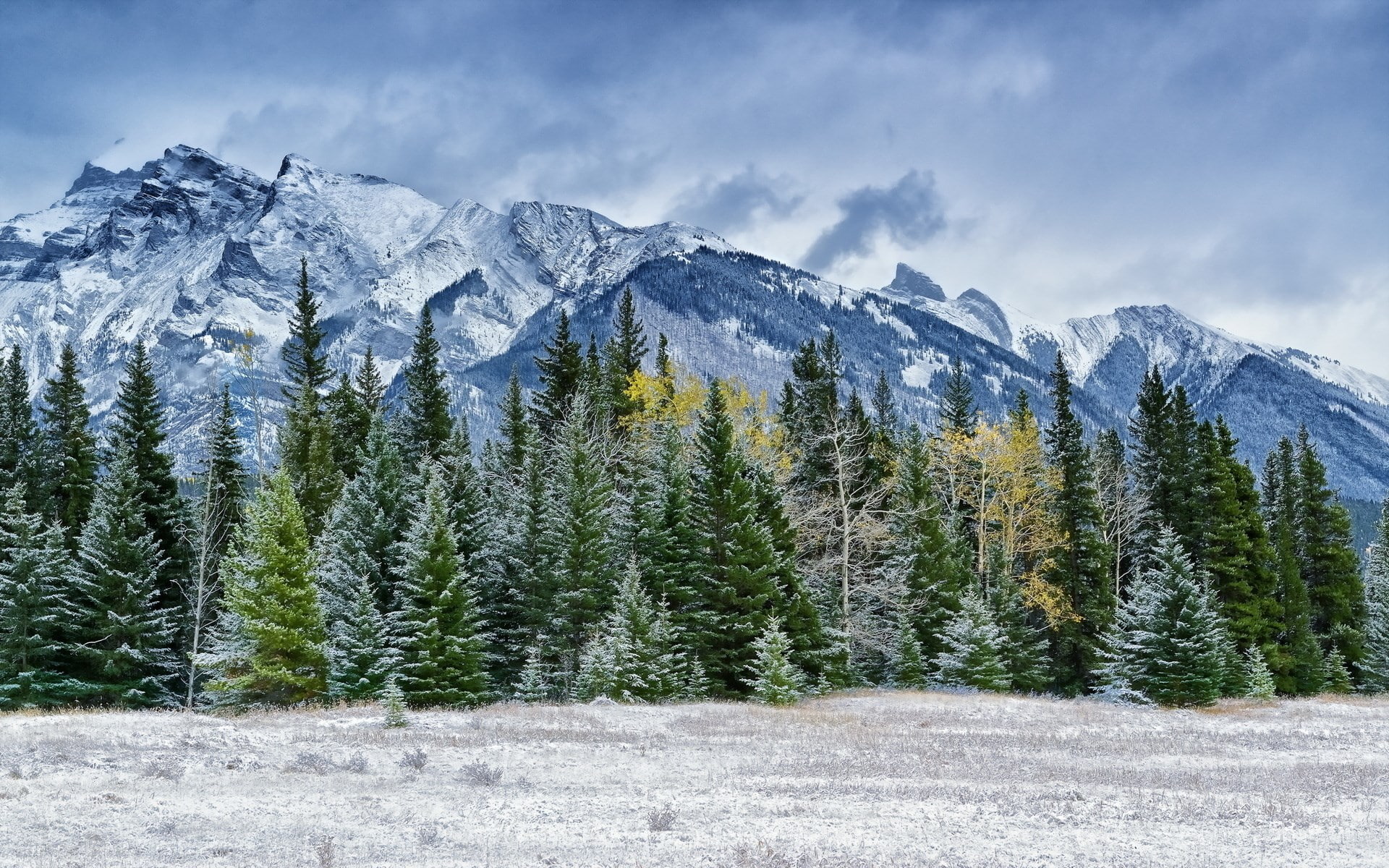 photo nature beauty images 1920x1200, 1080P, HD Wallpaper
