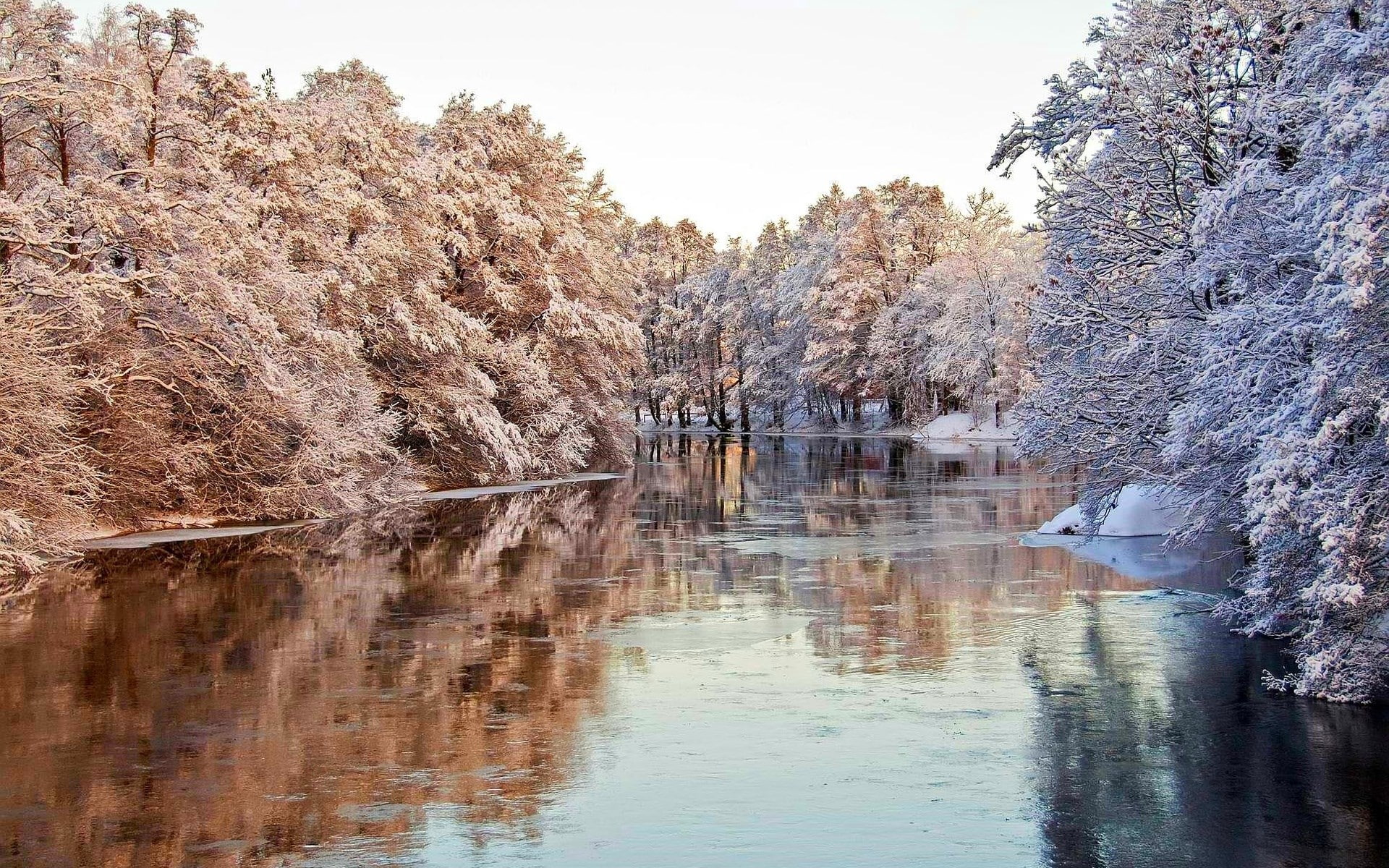 beautiful nature scenes images 1920x1200, 1080P, HD Wallpaper