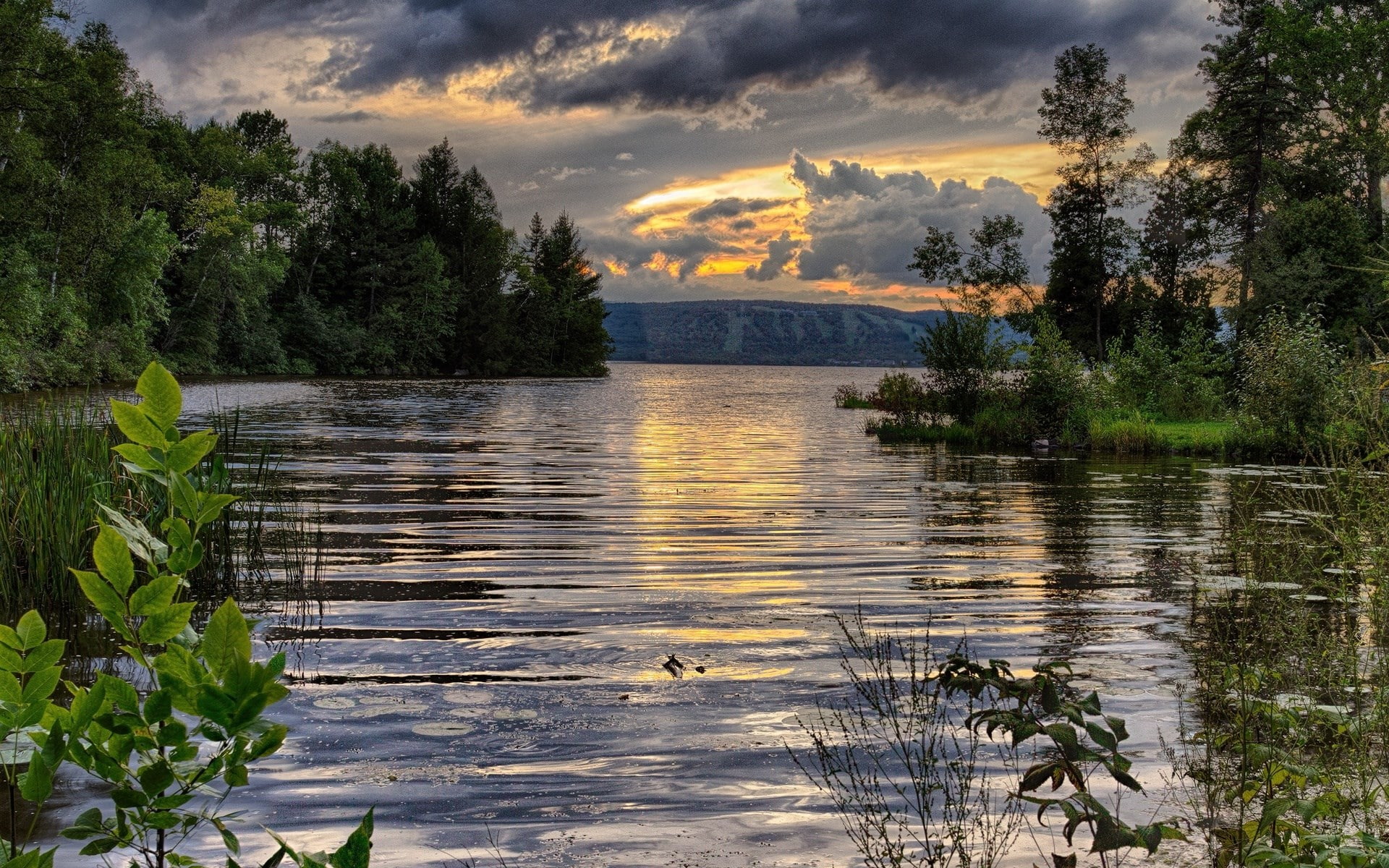 1080P, beauty of nature  hd 1920x1200, HD Wallpaper