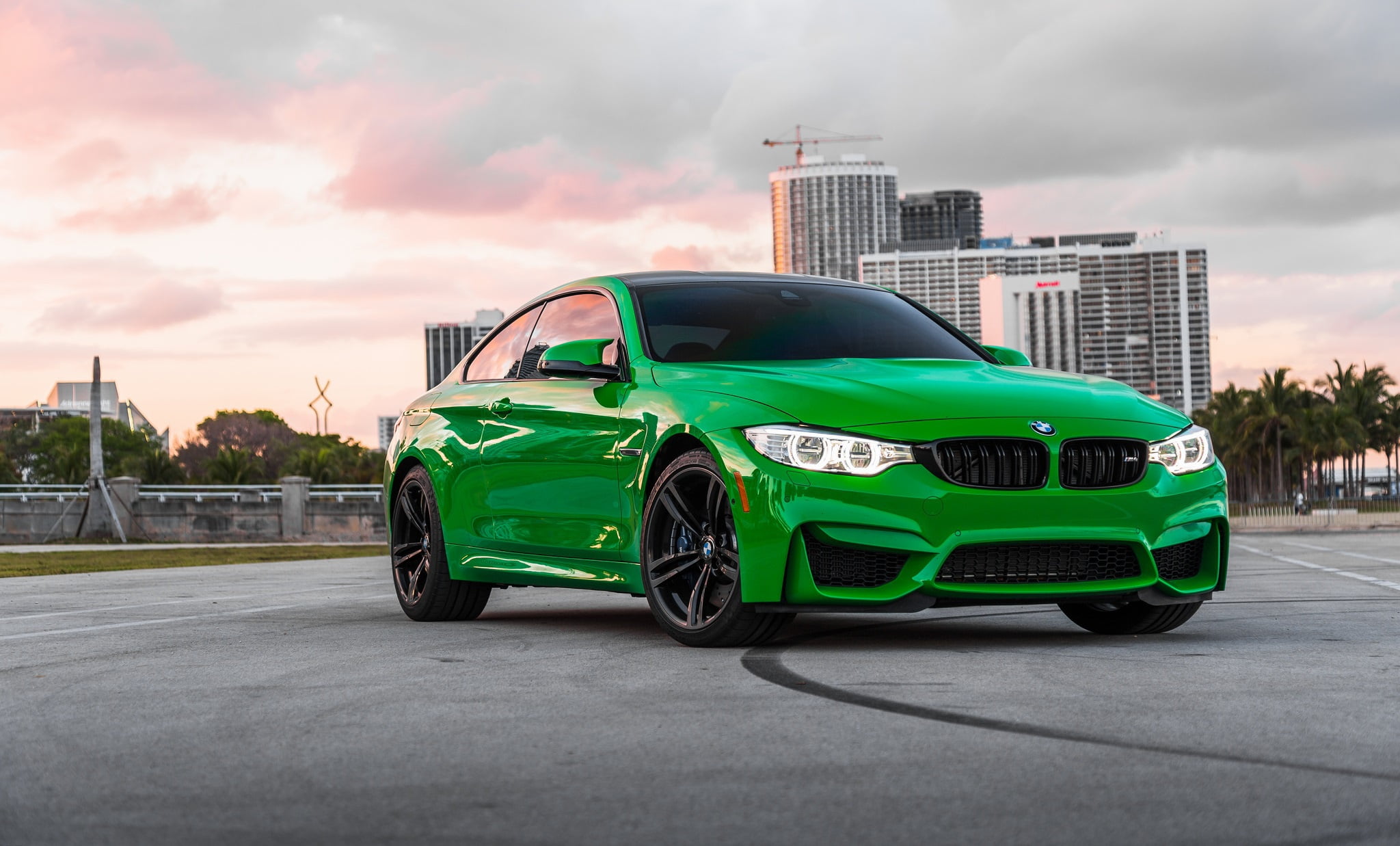 Frog, Sight, BMW, F83, Green, 1080P, Light, LED, HD Wallpaper