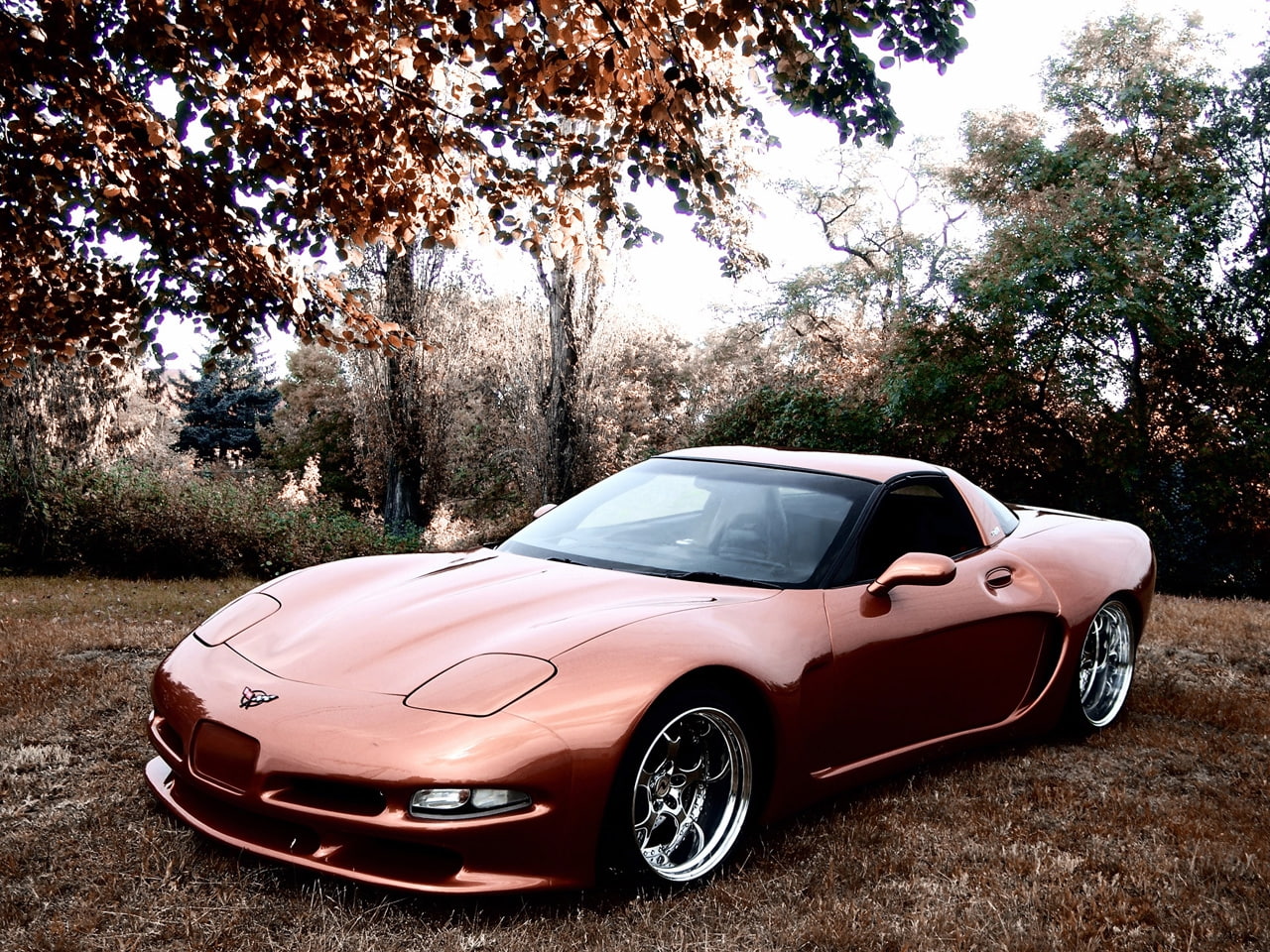hd, 720P, chevrolet, art, body, wide, corvette, c, 2011, C5, cars, Wittera, HD Wallpaper