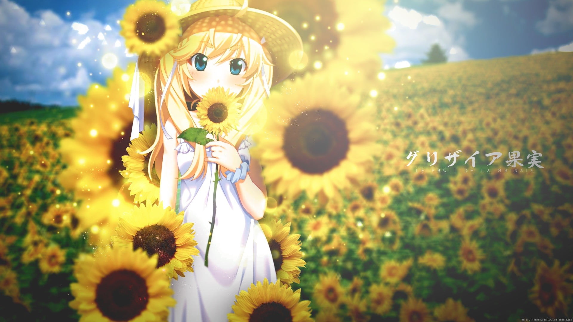 no people, close-up, Grisaia no Kajitsu, beauty in nature, focus on foreground, Matsushima Michiru, flowering plant, field, 1080P, toy, yellow, human representation, HD Wallpaper