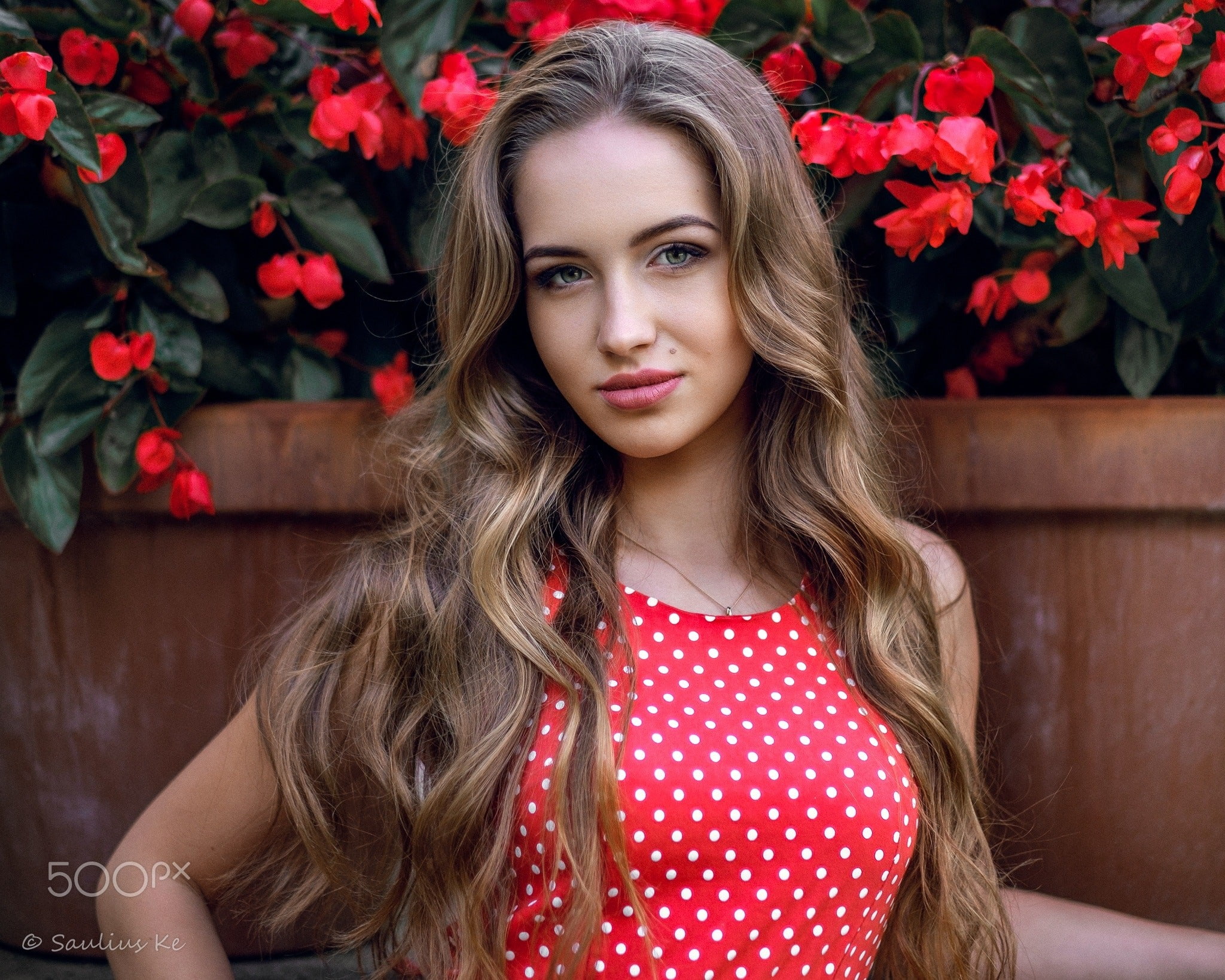 polka dot, beauty, body part, young women, 1080P, looking at camera, hairstyle, women, flower, beautiful woman, flowering plant, nature, red, 500px, young adult, HD Wallpaper