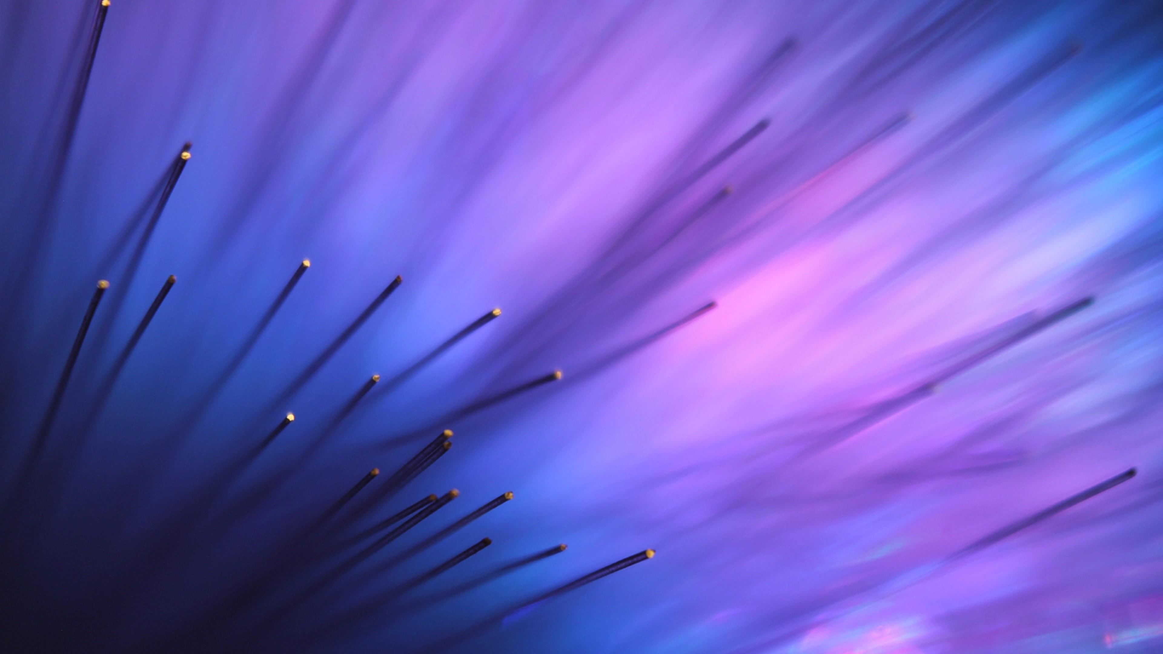 windows phone, escritorio, estilo, flor, motado, abstract, purpura, 4K, HD Wallpaper