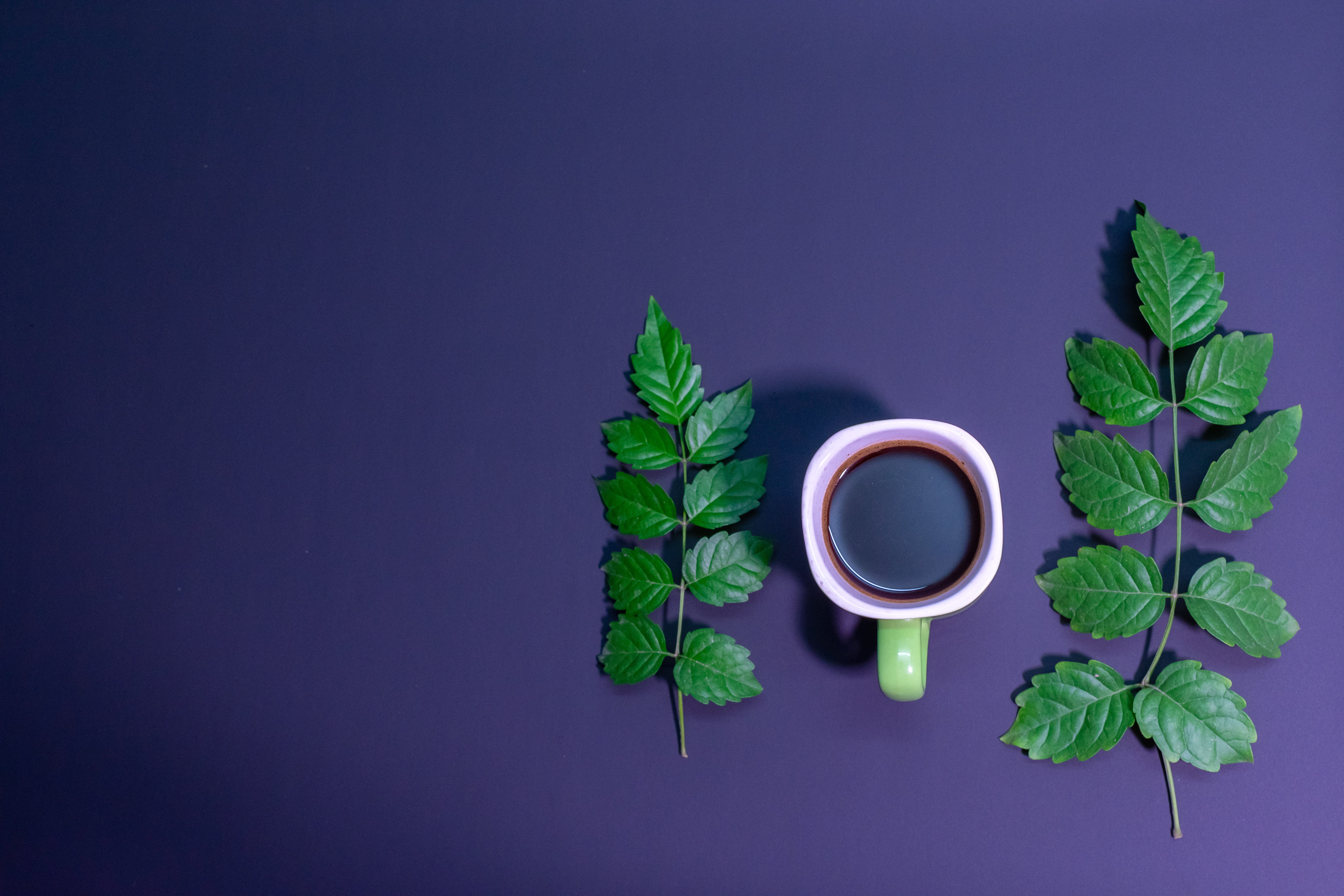 beverage, plant part, foliage, studio shot, blue background, colored background, refreshment, copy space, 5K, flatlay, clean, still life, food and drink, HD Wallpaper