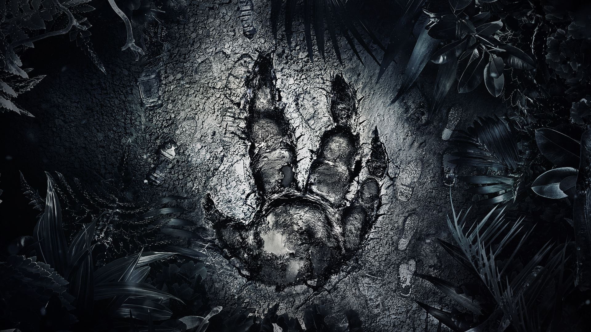 k, 1080P, hd, best, games, rockstudios, turtle, evolve, video games, Evolve Turtle Rockstudios 2k, HD Wallpaper
