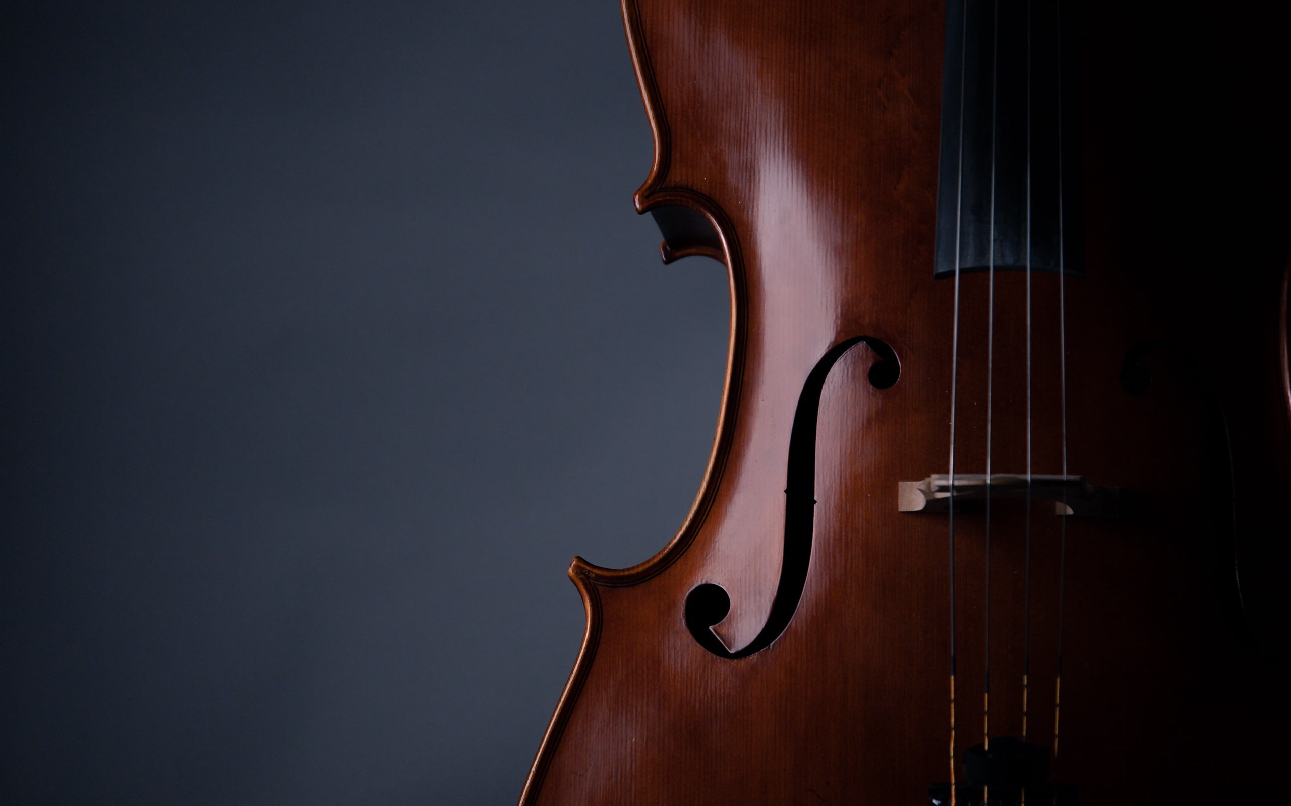 music, musical instrument, 2K, 2k hd background, violin, strings, HD Wallpaper