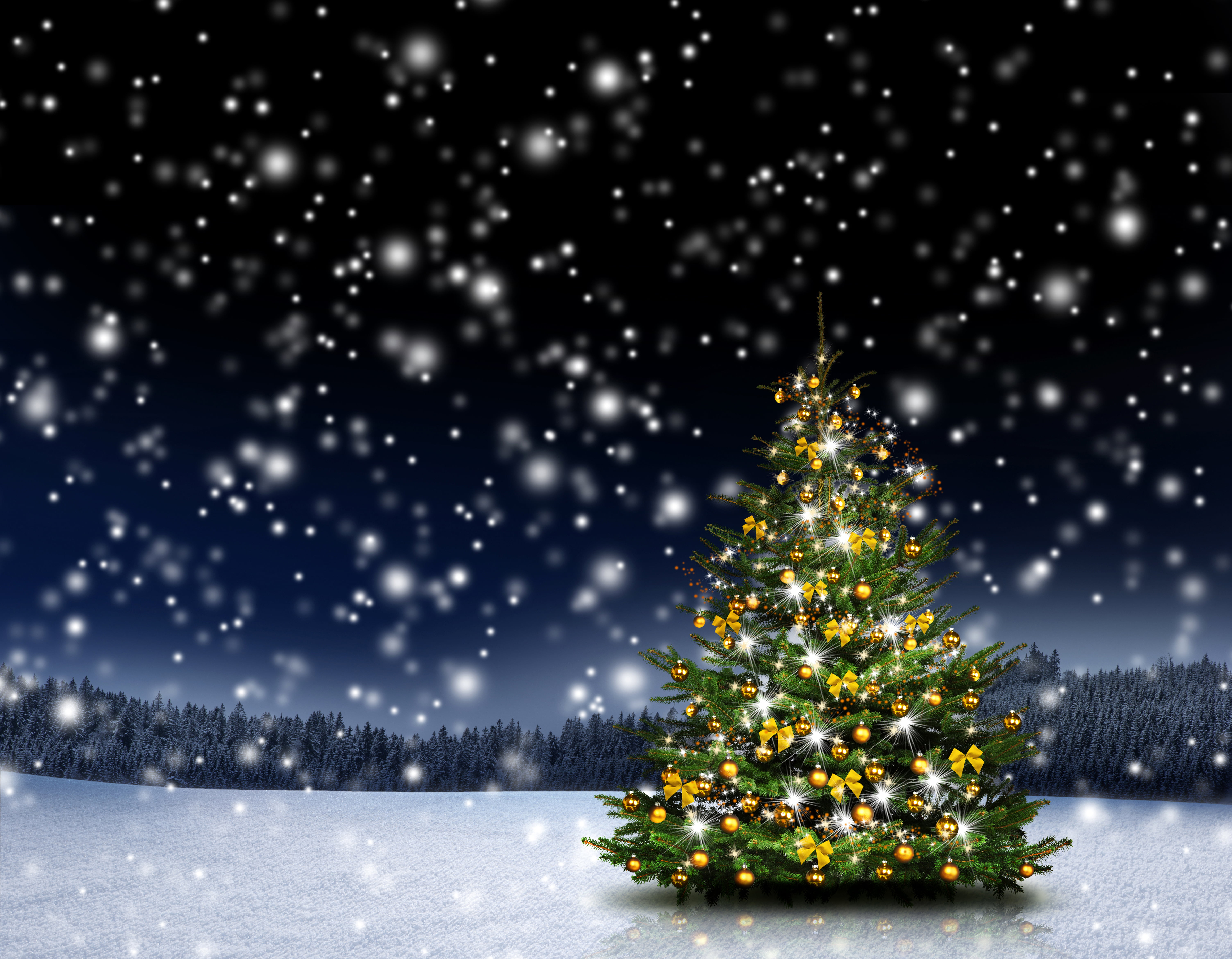 christmas Tree, outdoors, bows, lights, no People, woodland, winter, snowflake, holiday, glade, 5K, snowflakes, forest, plant, spruce Tree, landscape, HD Wallpaper