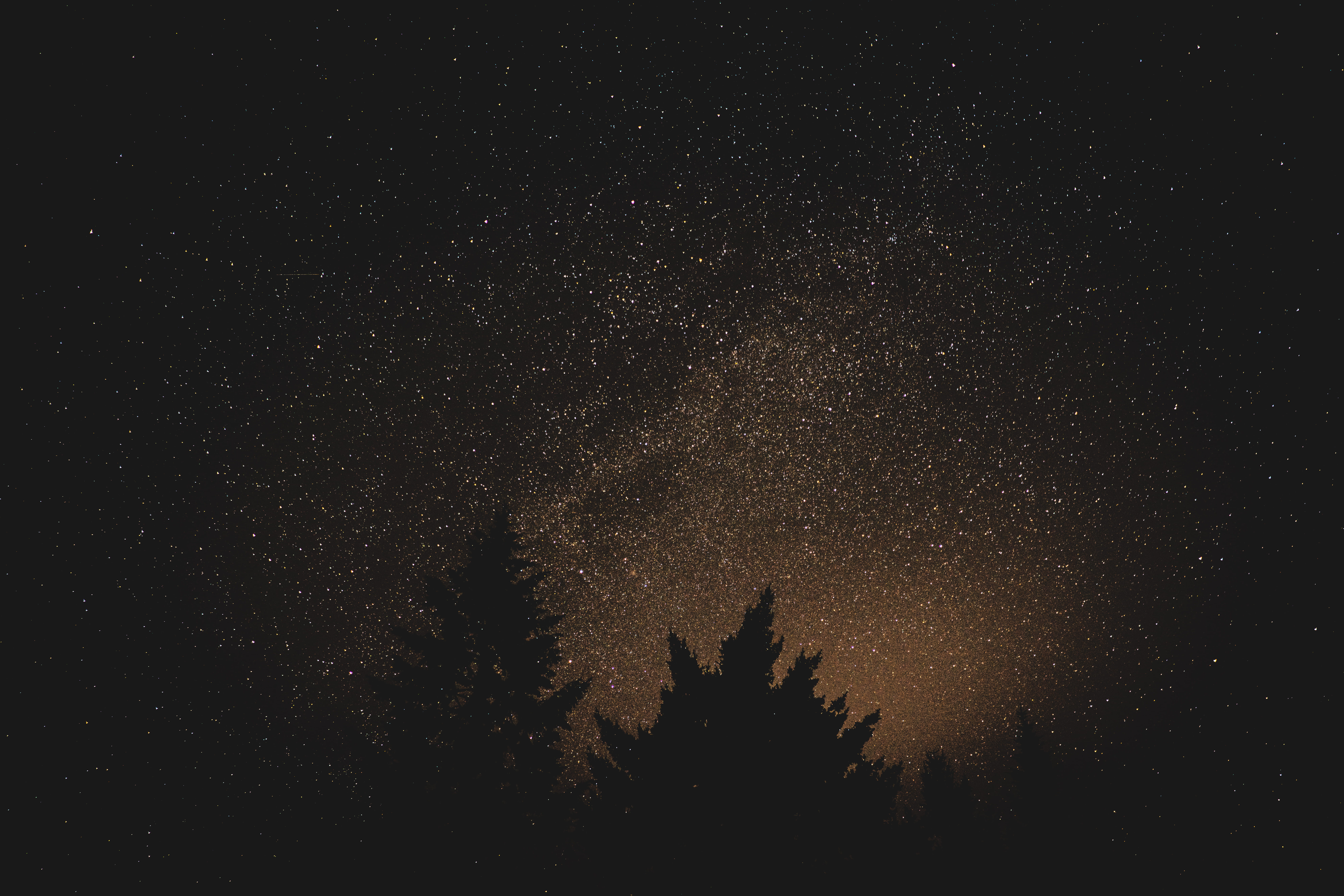tranquility, looking up, infinity, hike, starry, astronomy, outdoors, idyllic, galaxy, space and astronomy, 8K, astrophotography, no people, milky way, HD Wallpaper