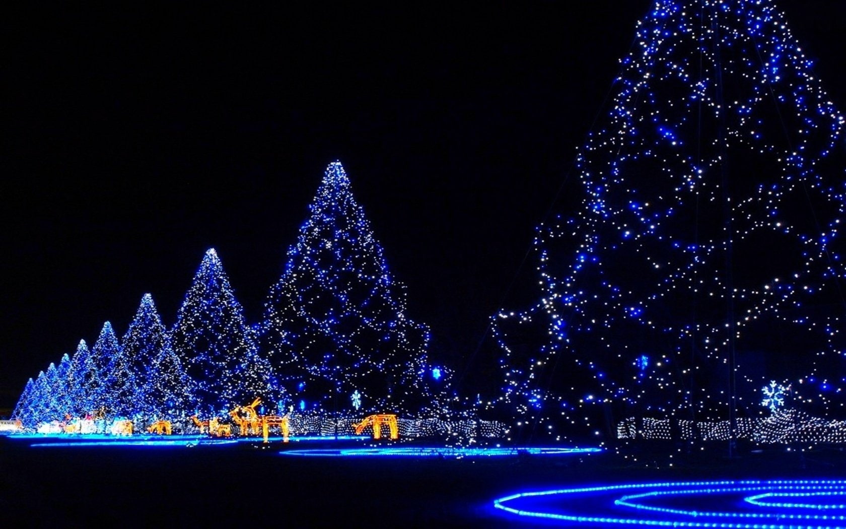 lighting Equipment, no people, Square, Christmas, Christmas Tree, backgrounds, building exterior, trees, star Shape, christmas ornament, sky, decoration, HD Wallpaper