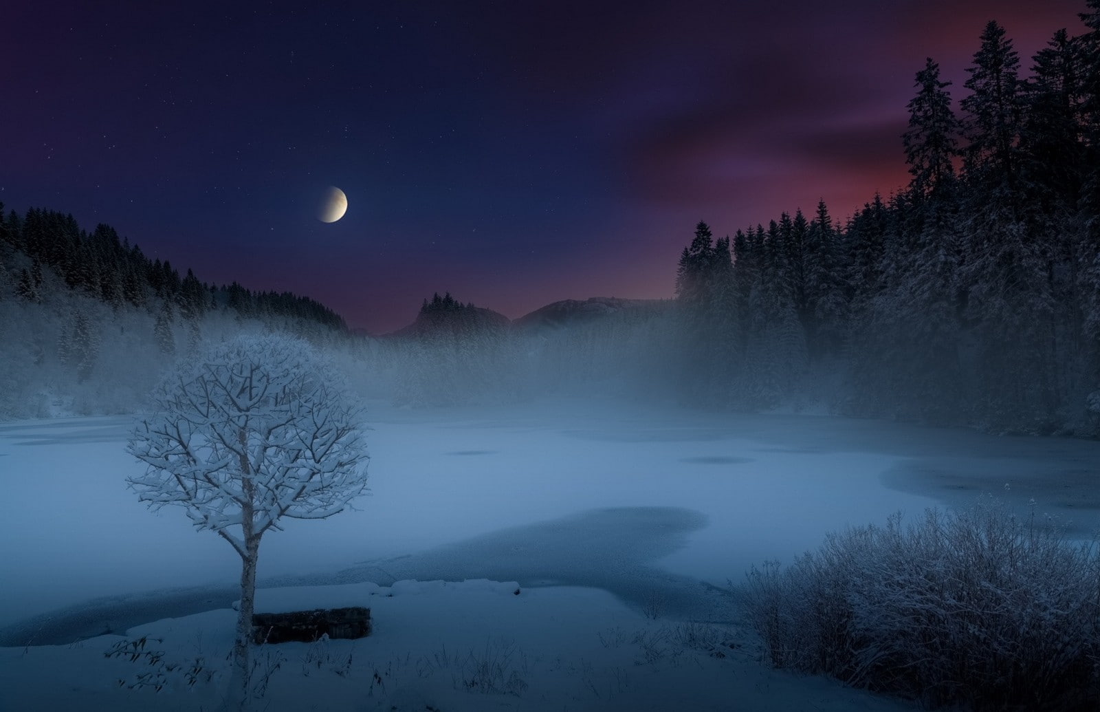 mist, lake, winter, nature, Norway, scenics - nature, moonlight, forest, night, woodland, astronomy, tranquility, environment, starry night, water, cold temperature, HD Wallpaper