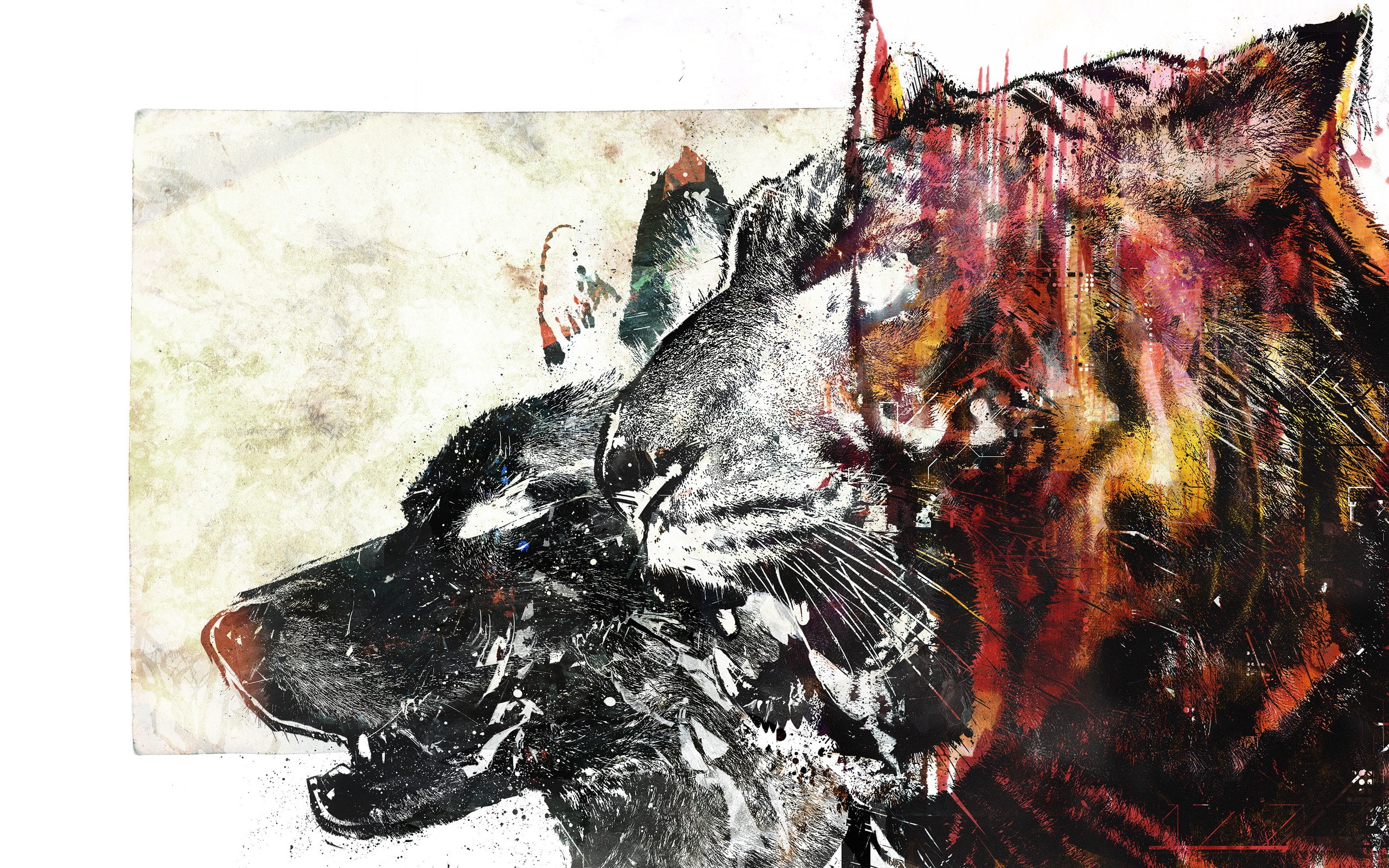 wolf, tiger, 2K, animals, HD Wallpaper