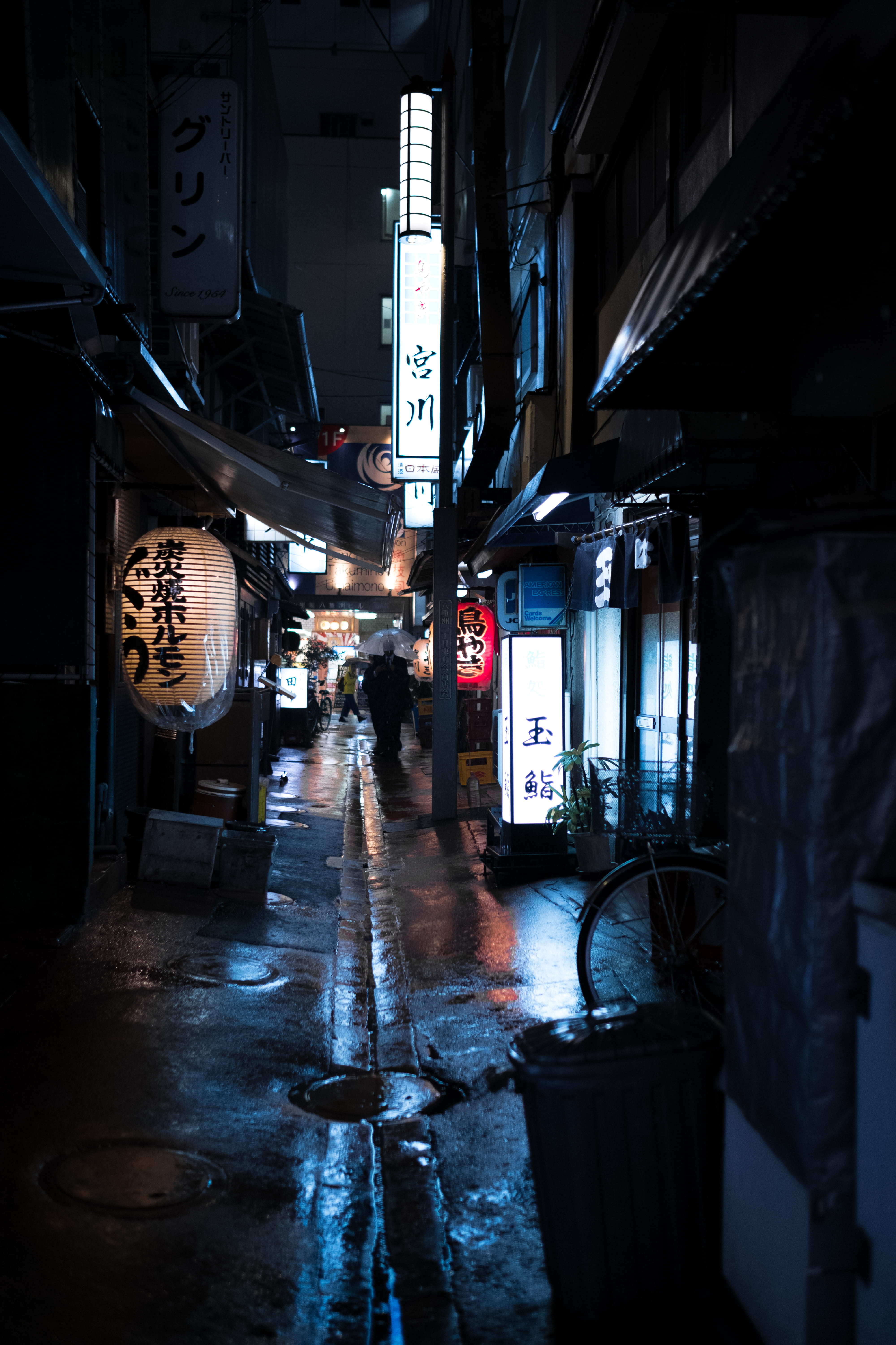 alleyway, text, urban, lantern, dark, direction, transportation, building exterior, path, white, led, alley, lights, signs, signage, neon light, communication, Phone HD Wallpaper