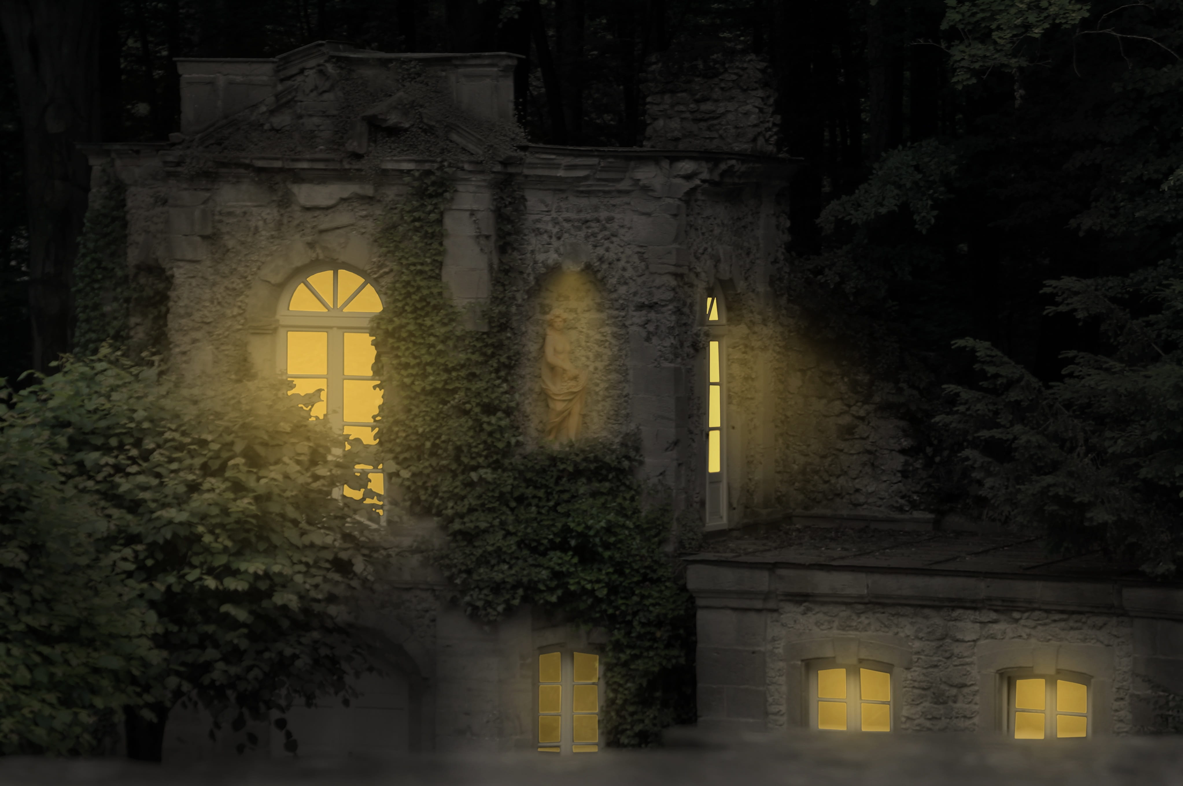 light, illuminated, dark, middle ages, atmospheric, castle, tree, entrance, window, leaf, growth, green leaf, night, architecture, building, building exterior, HD Wallpaper