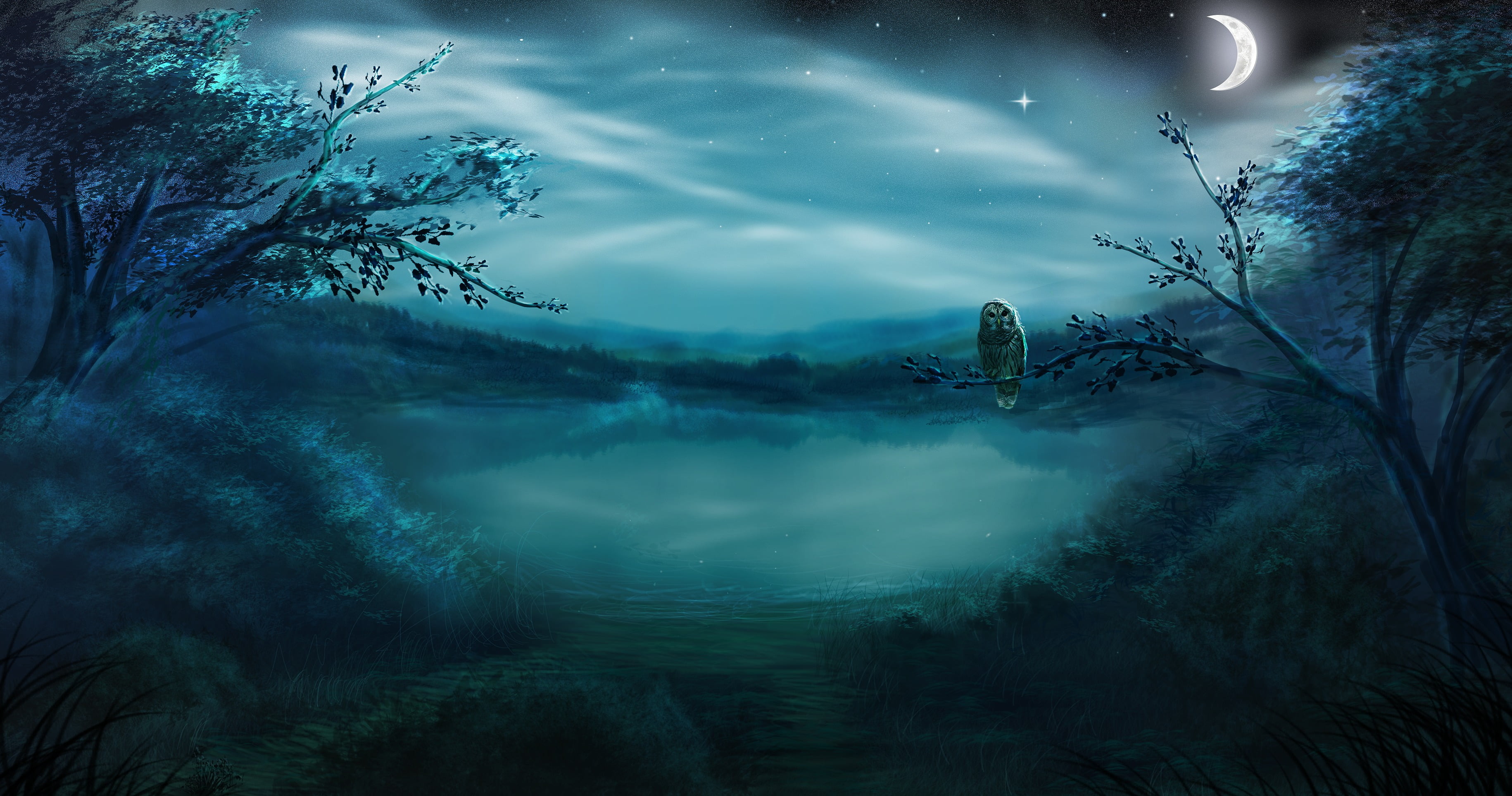 a month, magic, night, plant, forest, scenics, growth, lake, fairy Tale, horror, galaxy, dark, tree, owl, beauty In Nature, moon, the moon, tranquil scene, HD Wallpaper