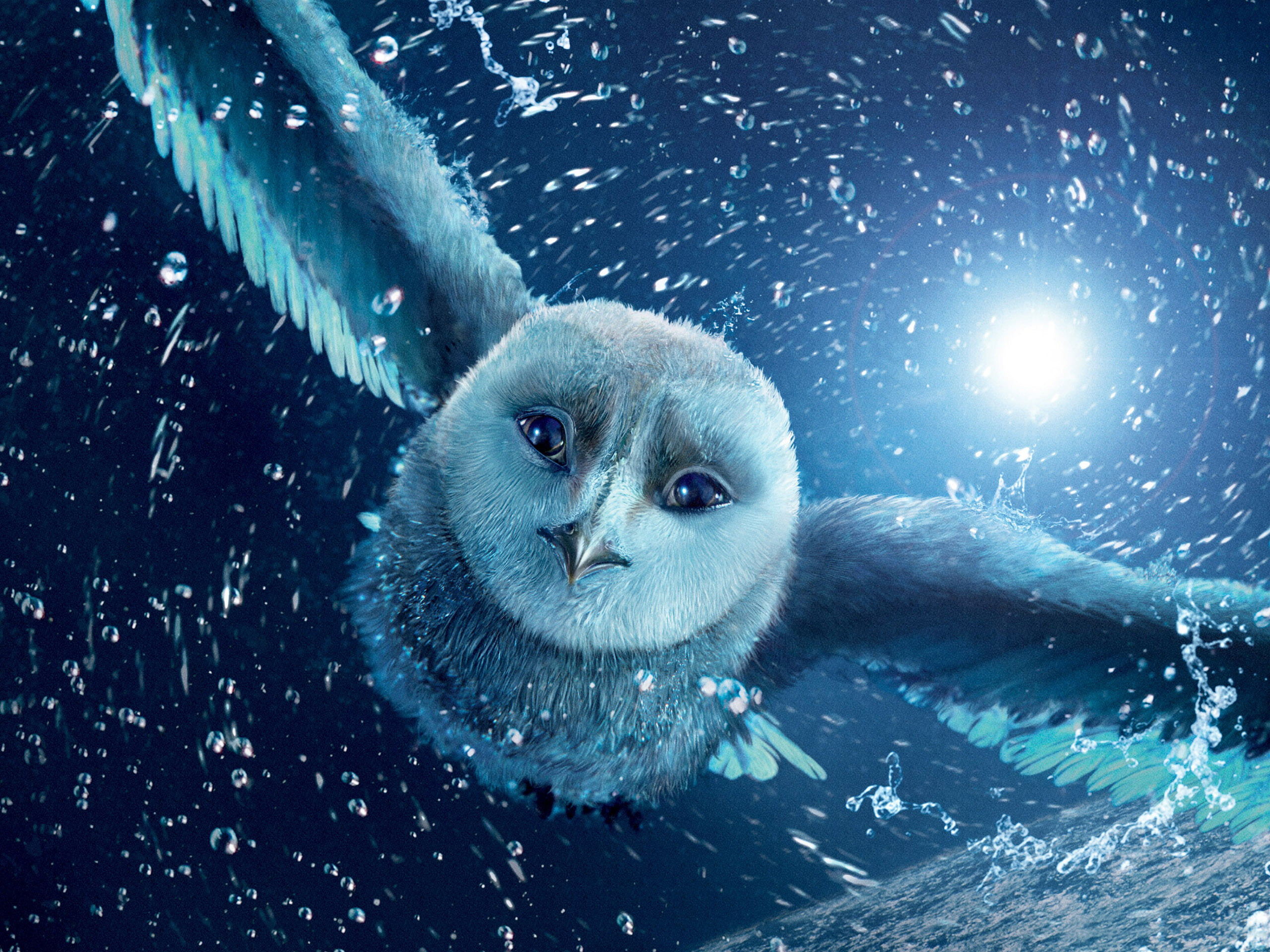 marine, wildlife, blue, night, cartoon, animal wildlife, sea, looking, fur, portrait, snow, motion, nature, vertebrate, sea life, underwater, 2K, fun, HD Wallpaper