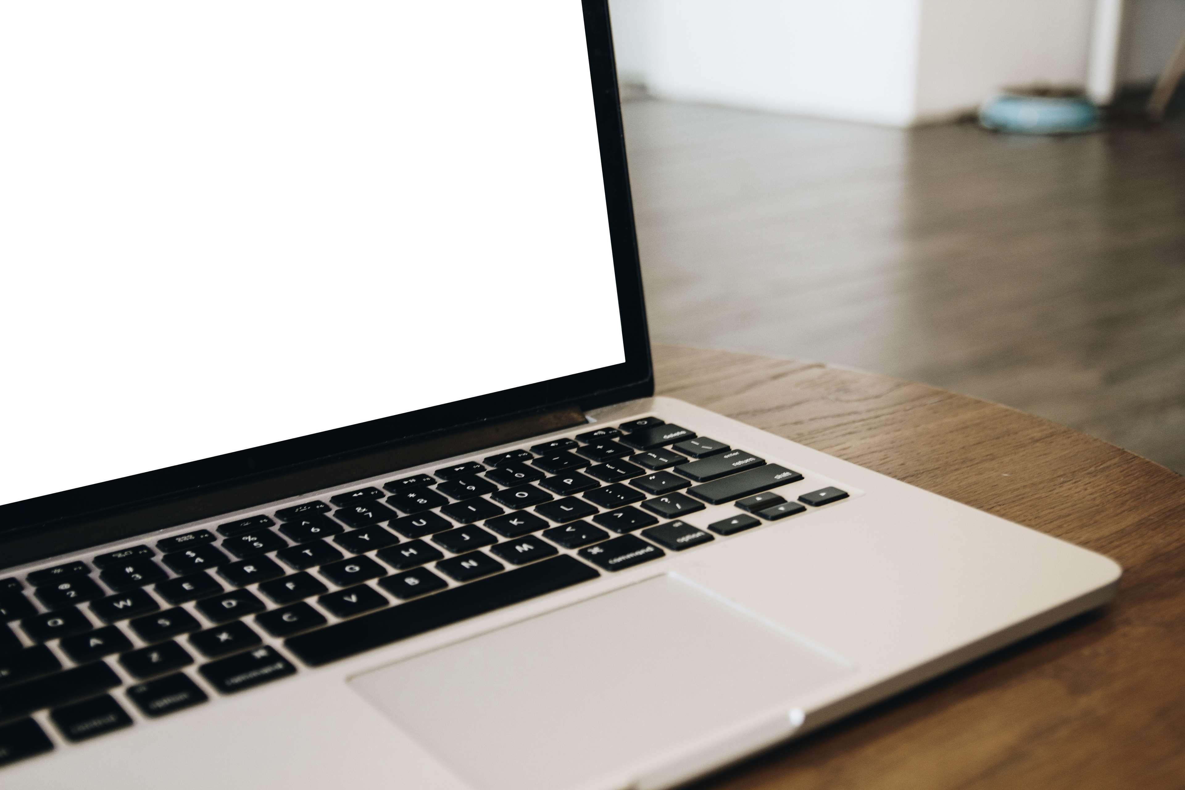 communication, screen, silver colored, designer, laptop, macbook, photoshop, connection, devices, selective focus, 4K, decor, no people, copy space, cat, HD Wallpaper