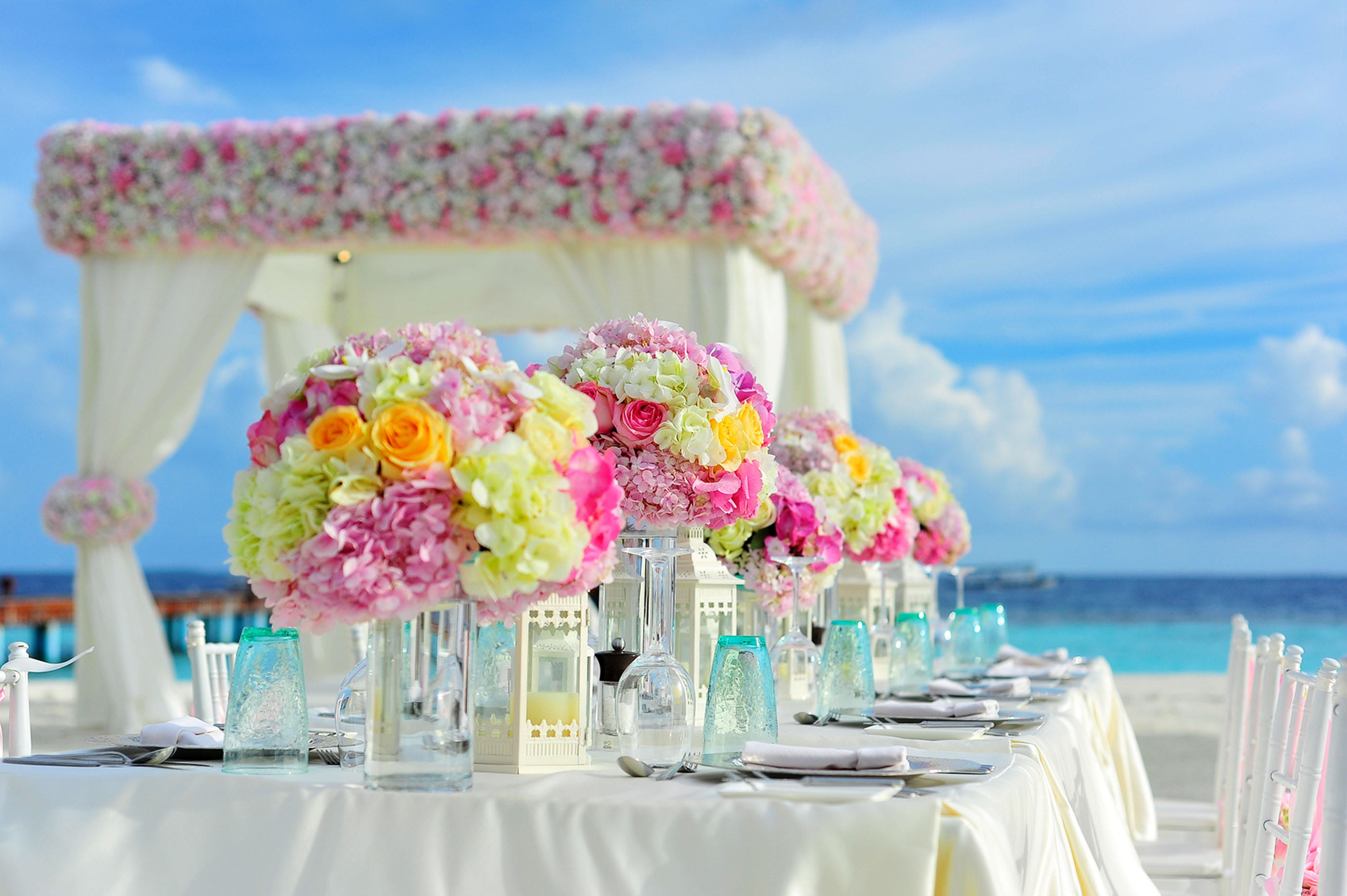 colorful, flowers, pink color, 2K, beach, outdoors, table set-up, flowering plant, colourful, hotel, no people, blue, bouquet, petaled, near, flower head, HD Wallpaper