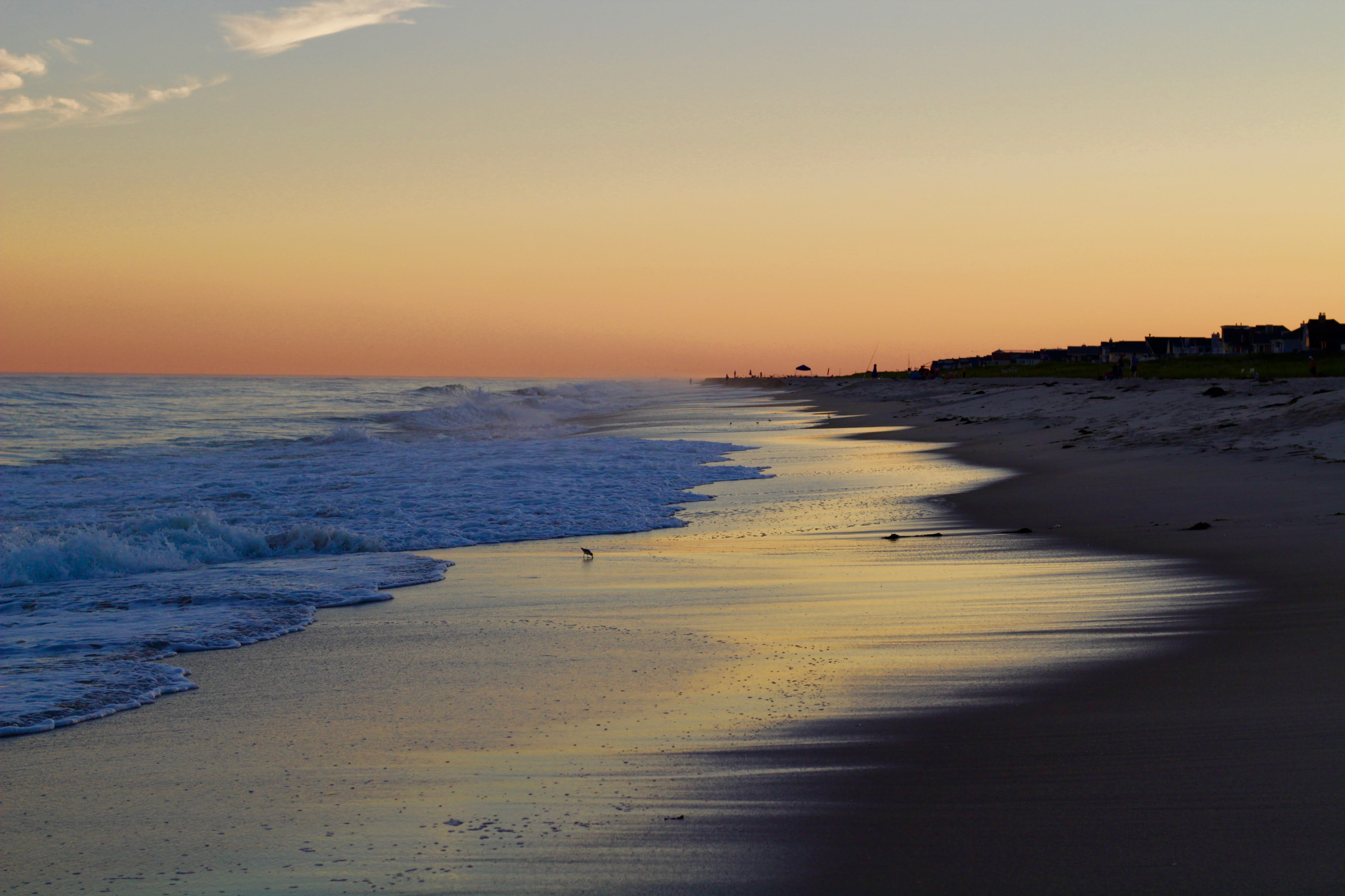 5K, adventure, outdoors, sunset, long island, water, sand, birds, scenics - nature, motion, ocean, waves, sea, nature, land, no people, united states, HD Wallpaper