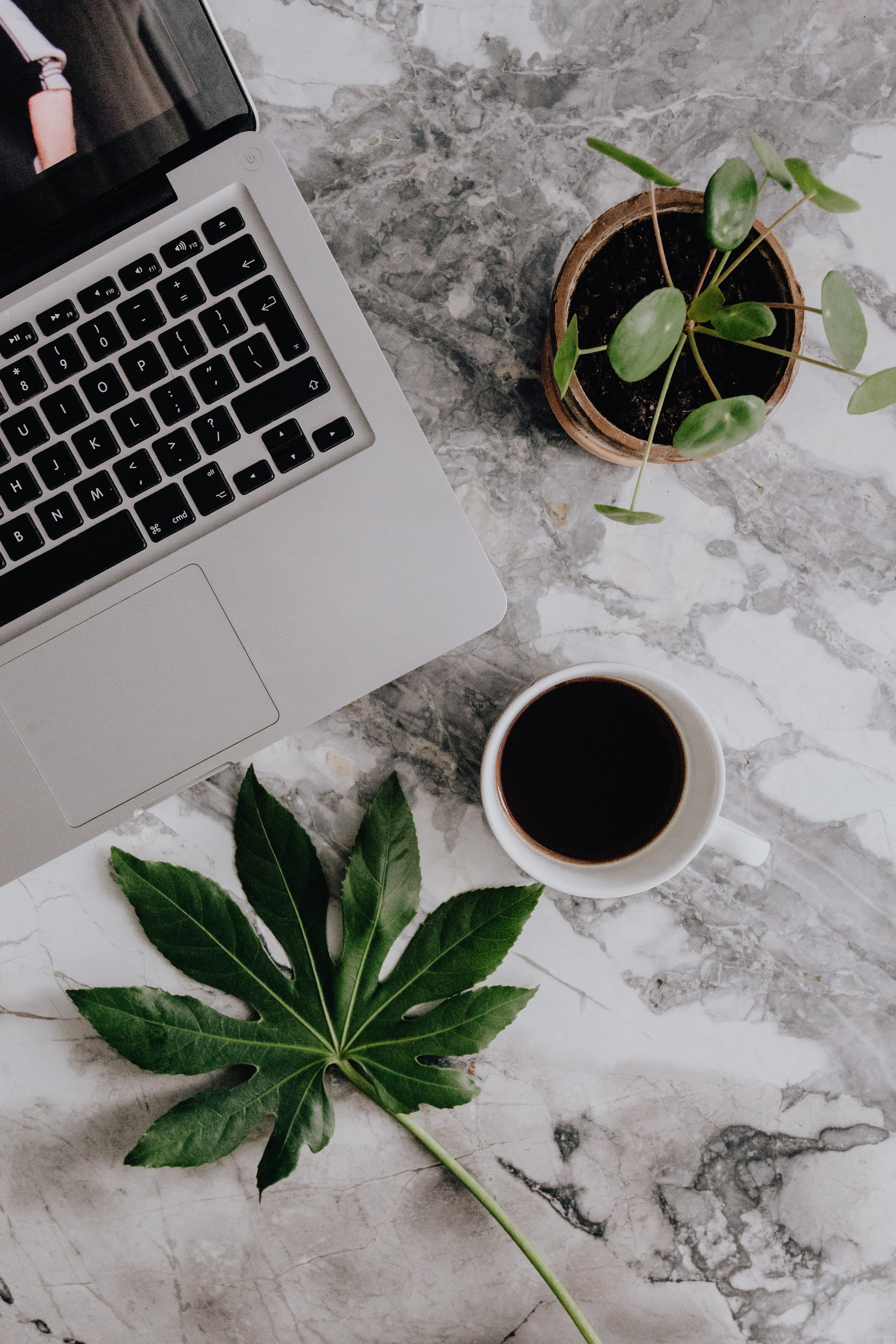 drink, leaf, 4K, tech, technology, coffee, apple, food and drink, nature, working, high angle view, communication, houseplant, work, workspace, study, Phone HD Wallpaper