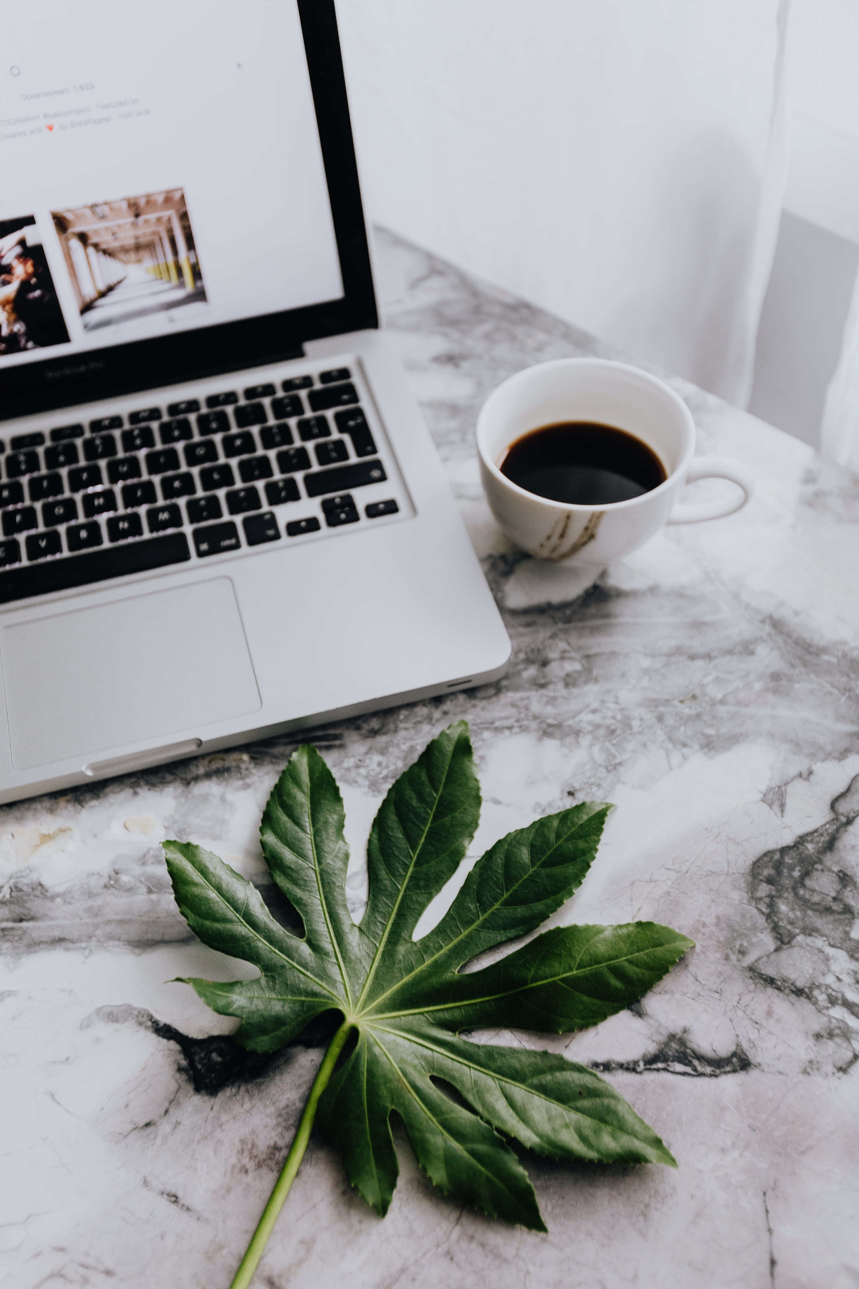 leaf, study, desk, coffee - drink, mug, plant part, table, macbook, marble, workplace, non-alcoholic beverage, crockery, indoors, no people, leaves, drink, Phone HD Wallpaper
