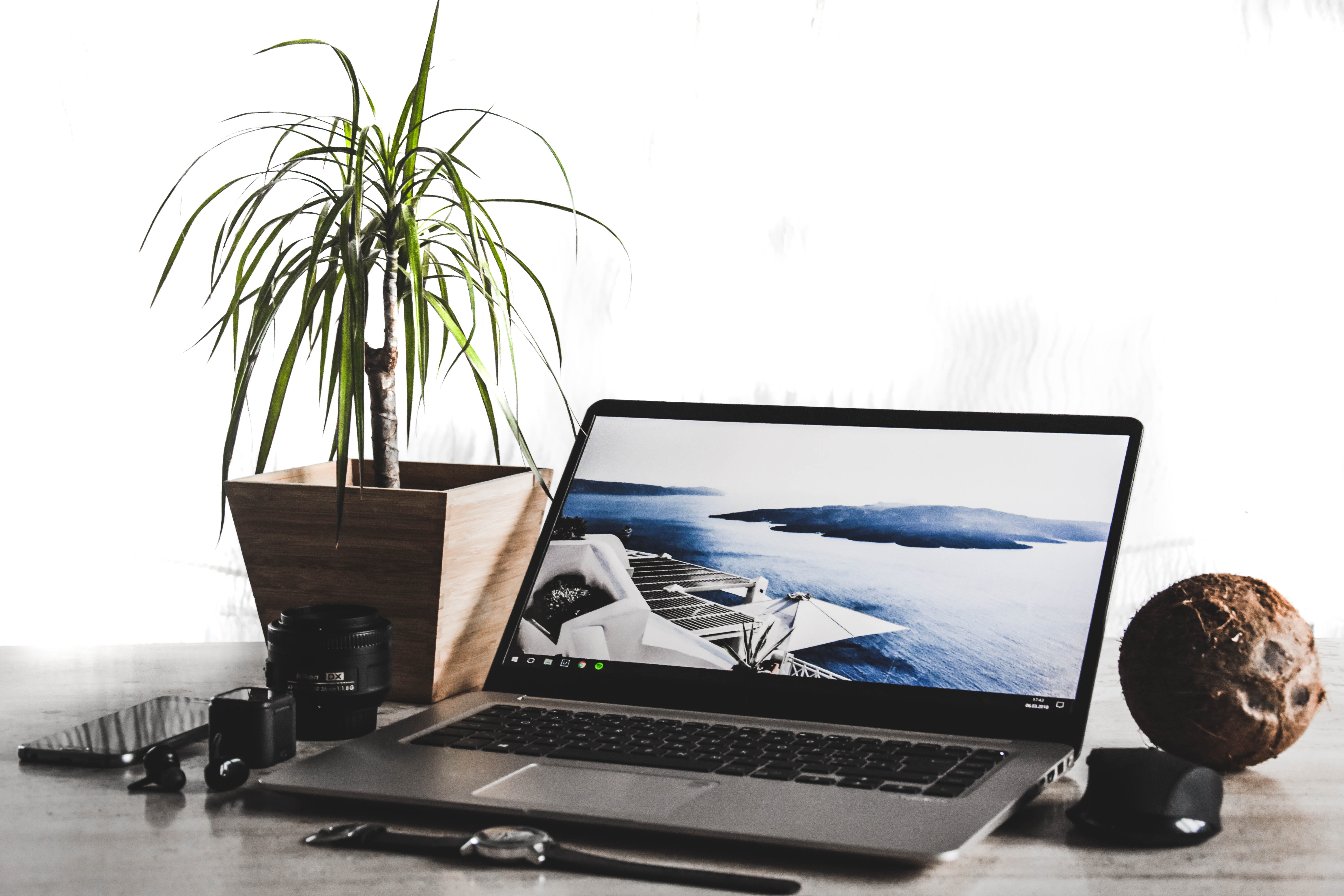 love, turned, flatlay, still life, work, potted plant, watch, summer, connection, communication, time, no people, potted, technology, plant, HD Wallpaper