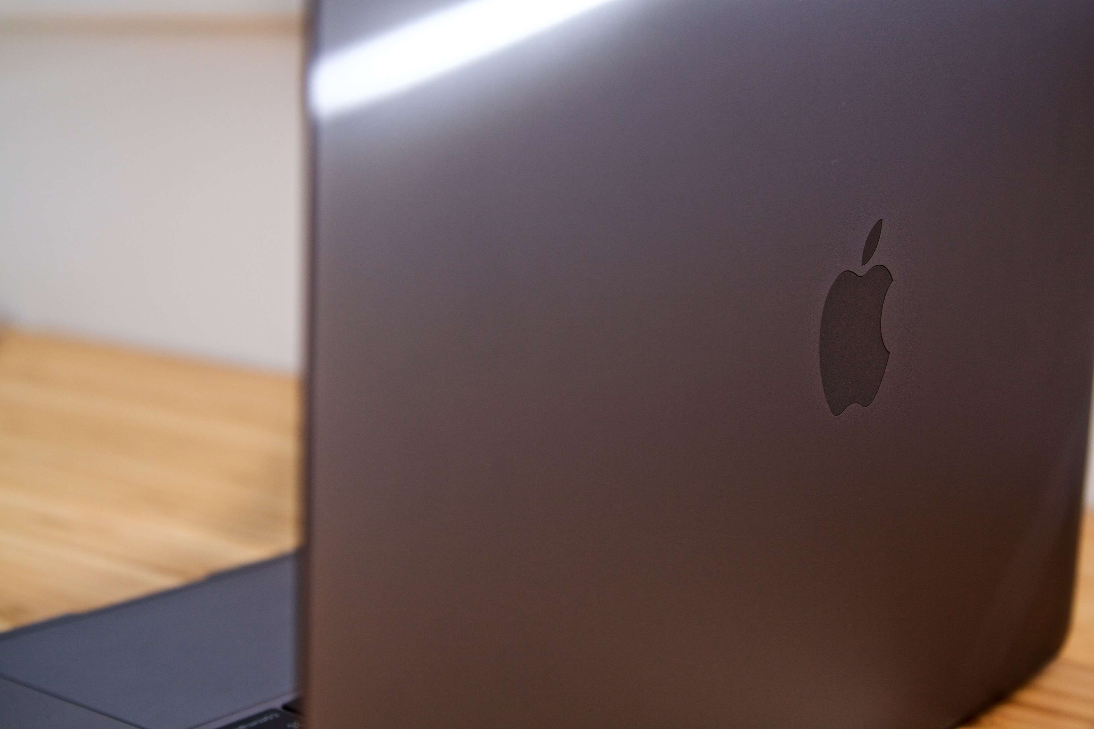 laptop, macbook, touch bar, 4K, wireless technology, domestic life, animal wildlife, indoors, connection, day, door, computer, communication, macbook pro, HD Wallpaper