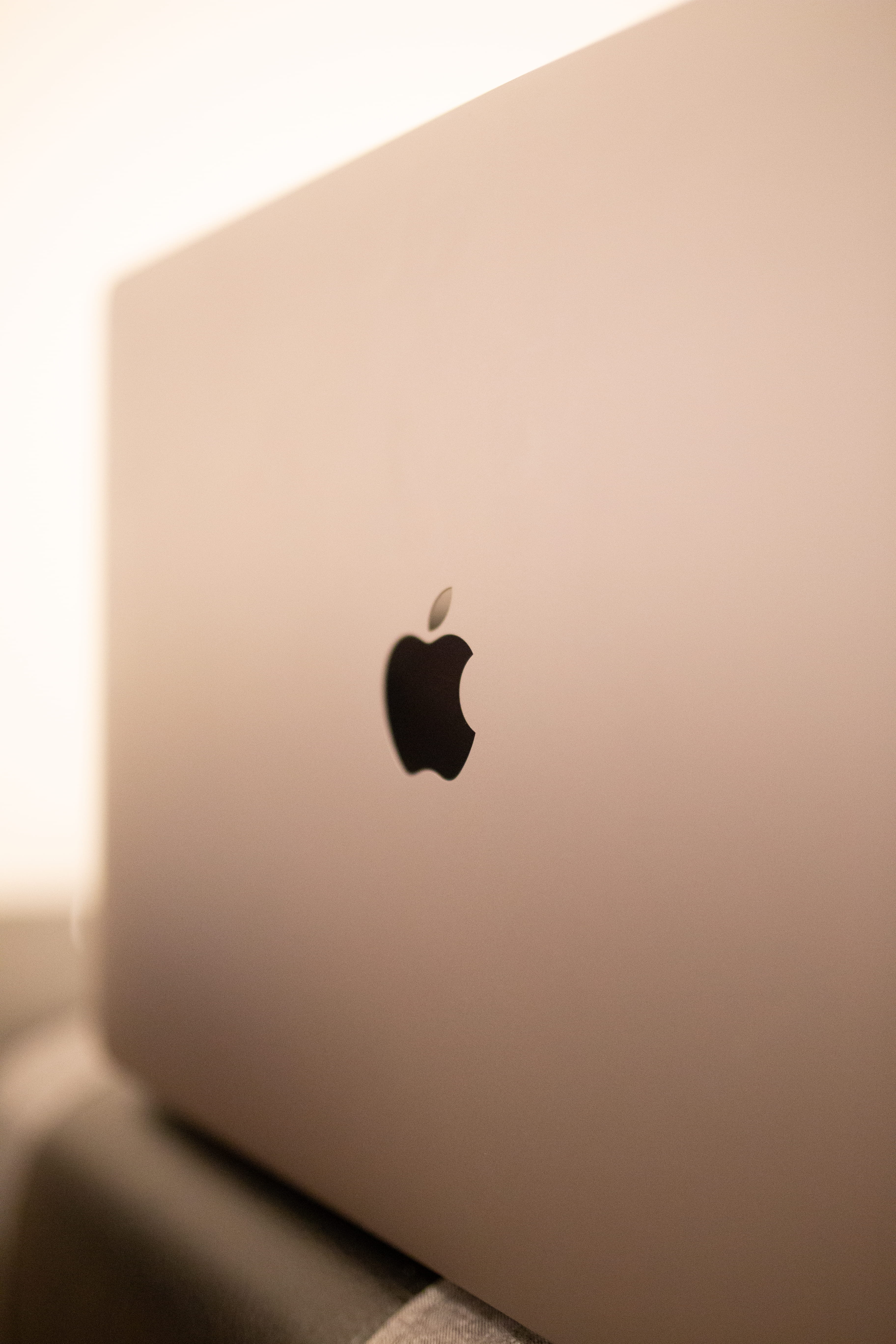 emotion, invertebrate, art and craft, laptop, phone, insect, 5K, macbook pro, tech, copy space, animal themes, logo, macbook, space gray, work, ipod, sunset, Phone HD Wallpaper