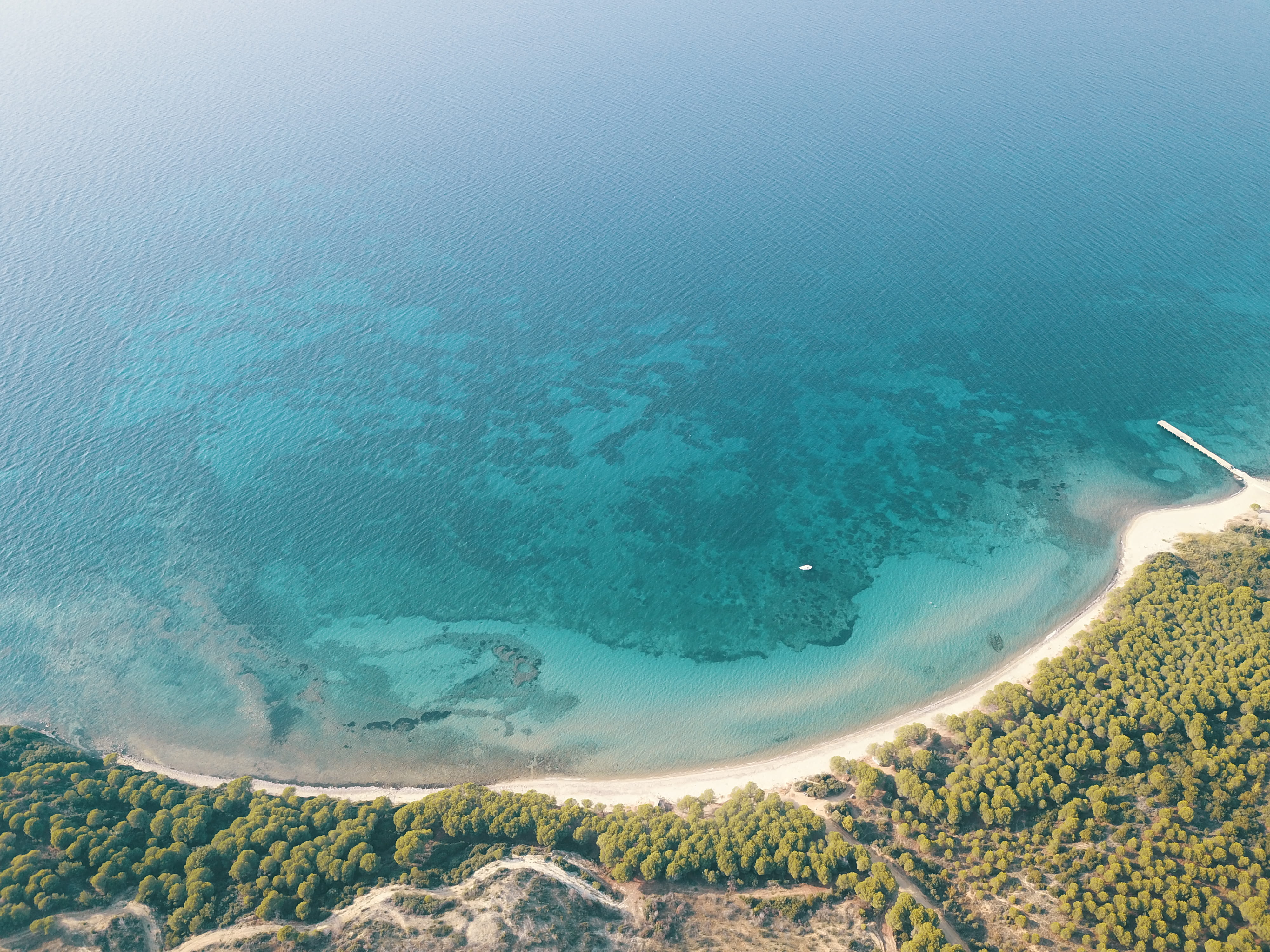 forest, gallipoli, dji, trees, tranquility, idyllic, turquoise colored, pines, outdoors, aerial view, tropical, beauty in nature, above, water, blue, no people, HD Wallpaper