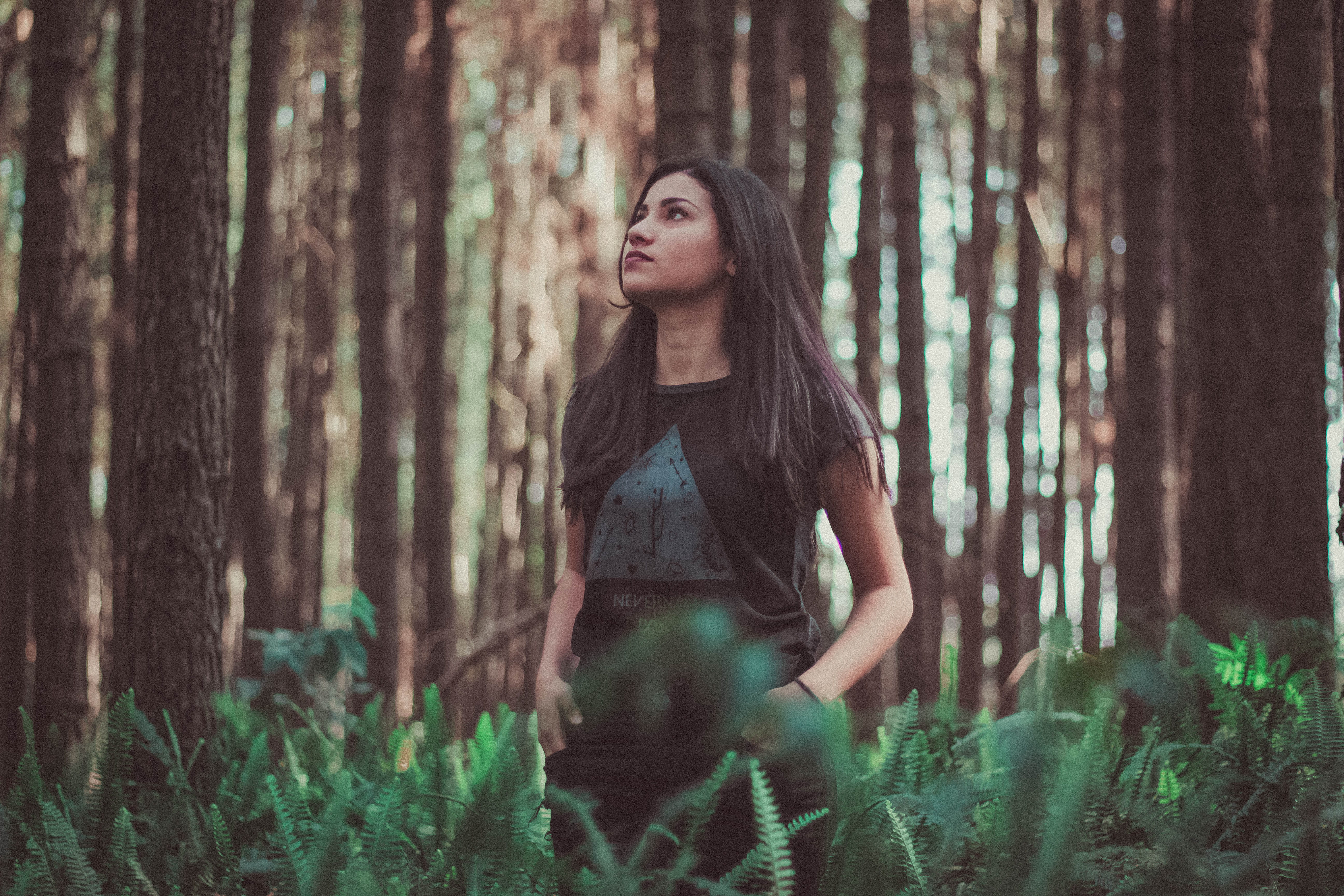 forest, woodland, middle, woman, contemplation, fern, female, adult, women, dom, nature, look up, near, lady, plant, hairstyle, wild, trees, tshirt, 5K, HD Wallpaper