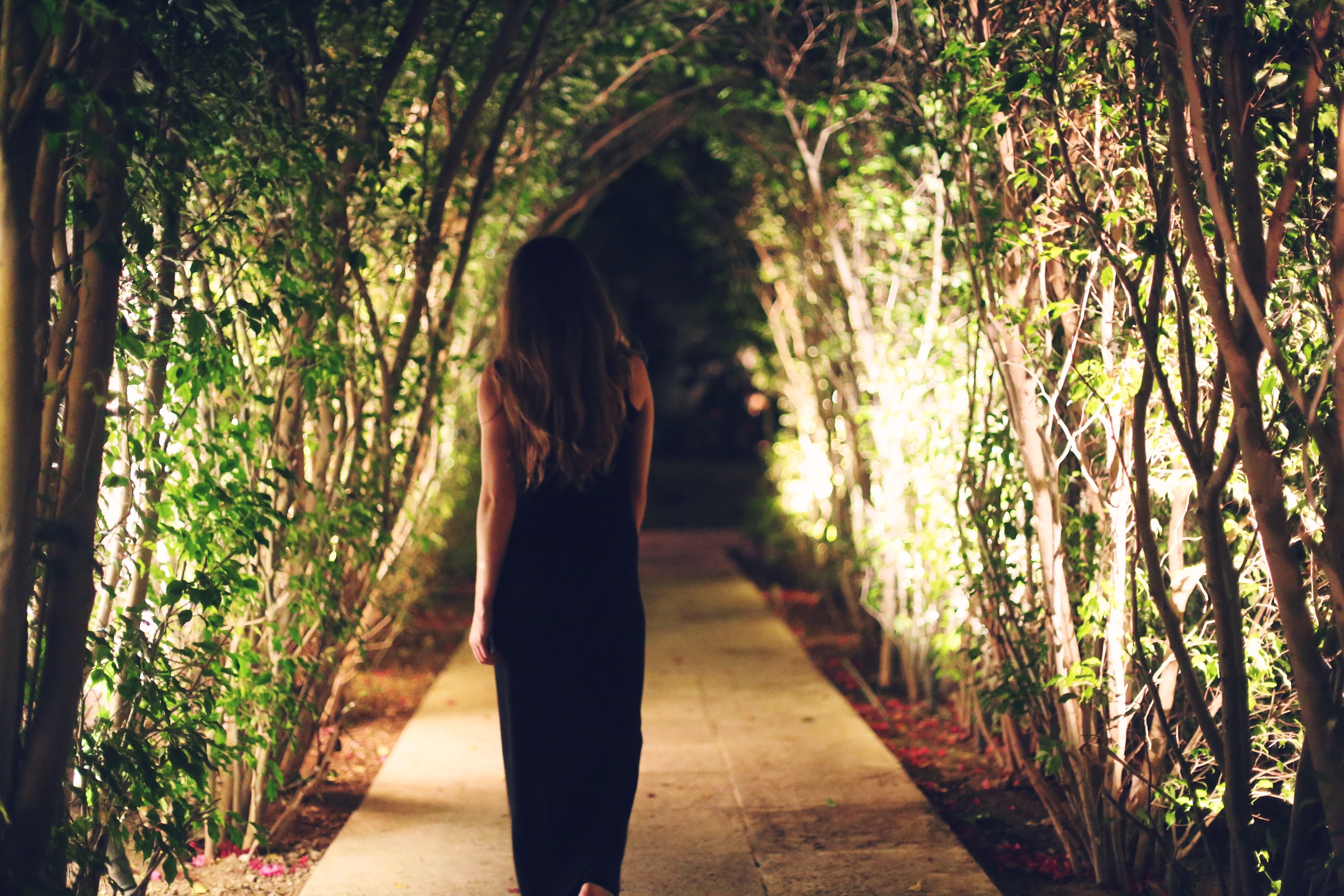 woman, lifestyles, leisure activity, hairstyle, inline, land, one woman only, trees, nature, girl, rear view, only women, women, outdoor, adult, female, HD Wallpaper