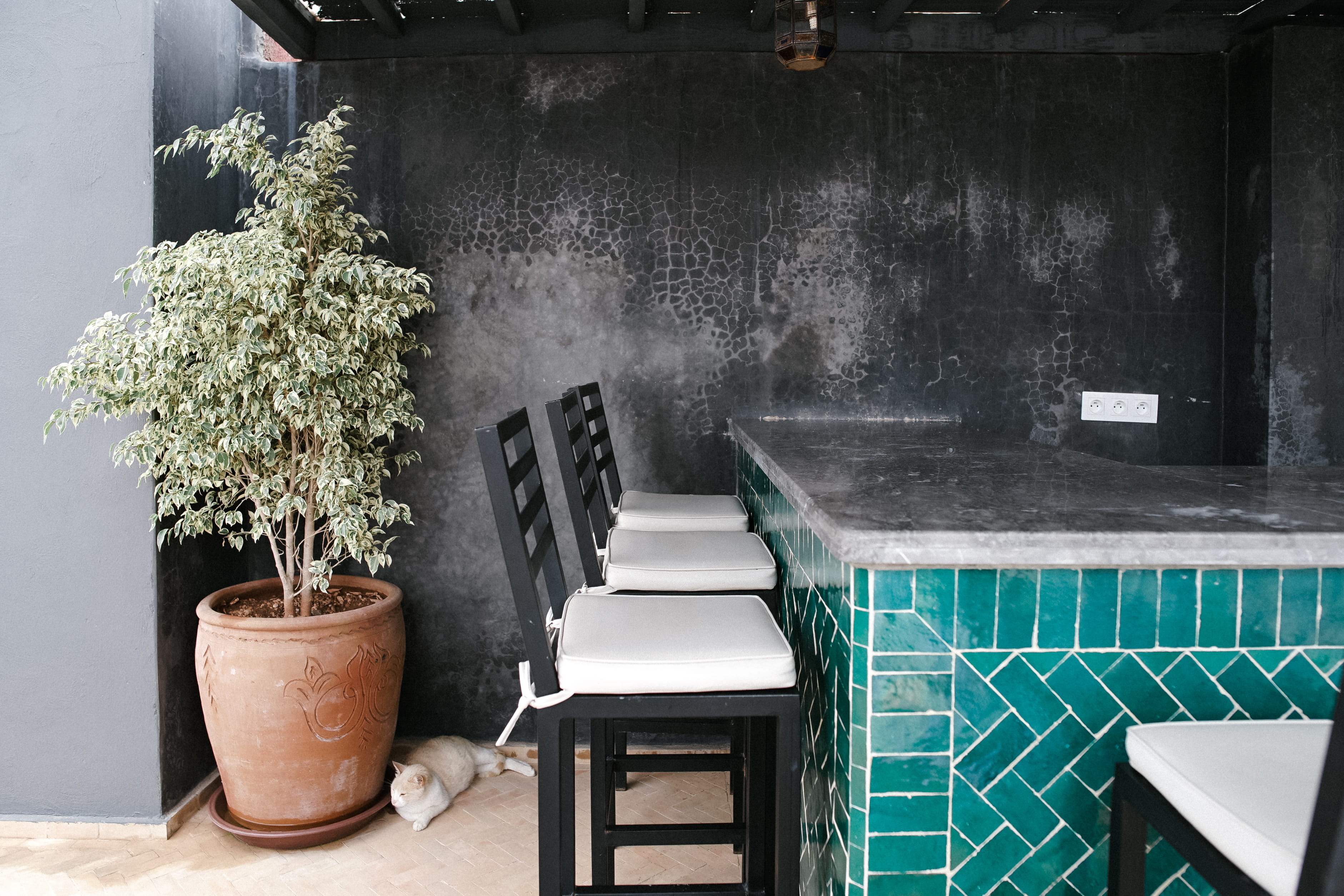 bar, jar, morocco, black, gardening, houseplant, interior design, three, green color, plant, container, wall - building feature, potted plant, design, banister, HD Wallpaper