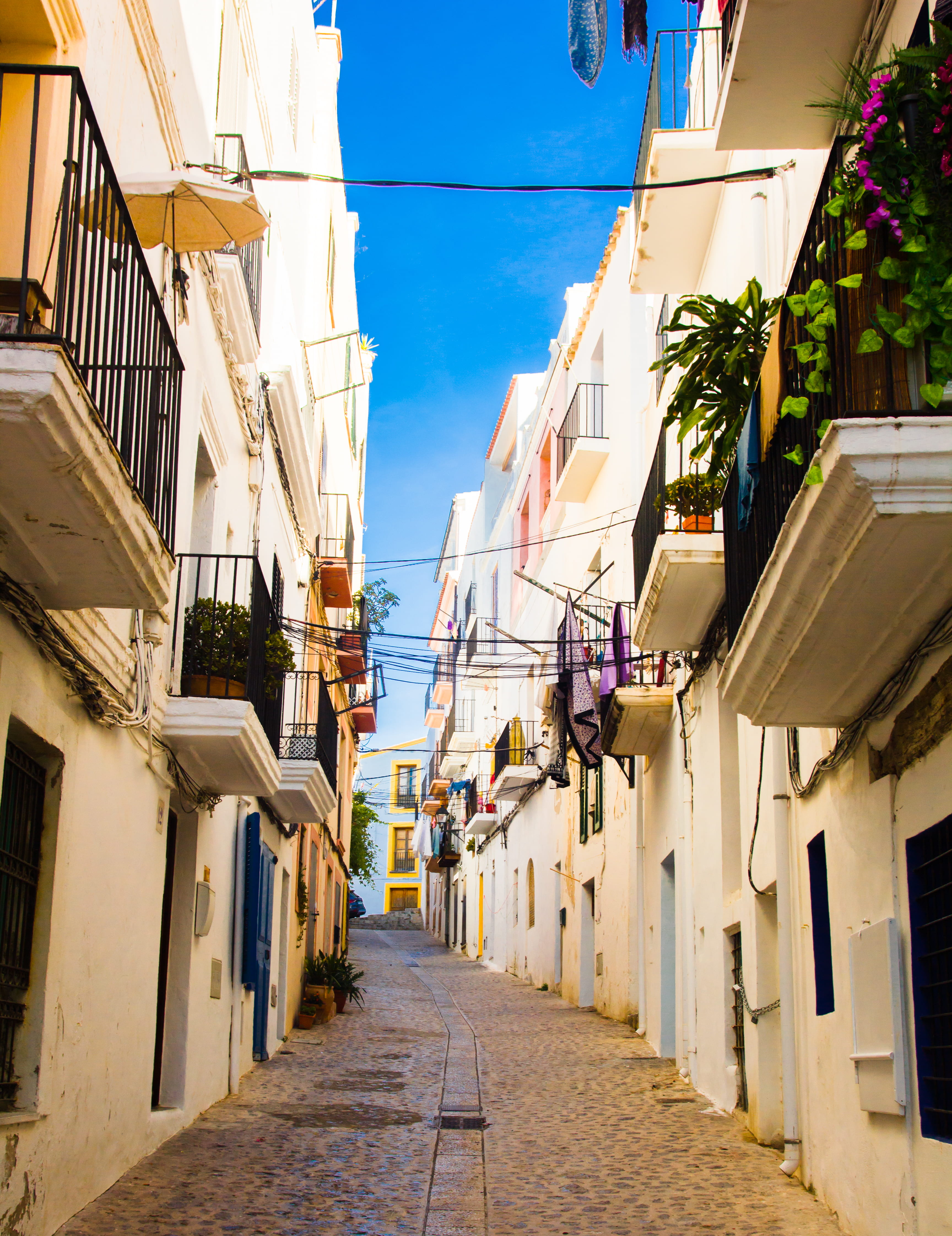 narrow, outdoors, mediterranean, the way forward, blue, narrow street, hanging, palnts, residential district, direction, ibiza, building, building exterior, Phone HD Wallpaper