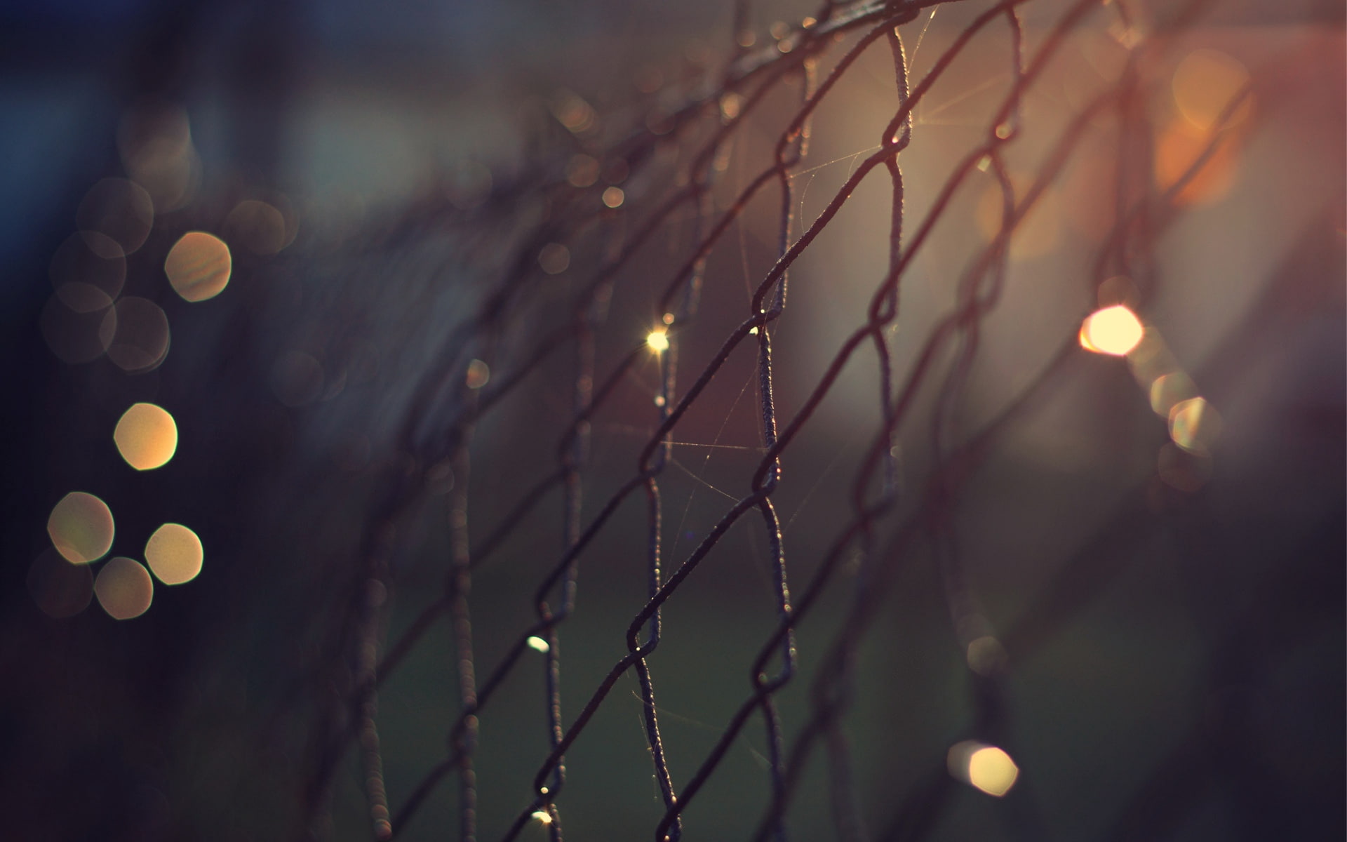 close-up, 1080P, fencing, bokeh, grill, lights, metal, night, web, netting, HD Wallpaper