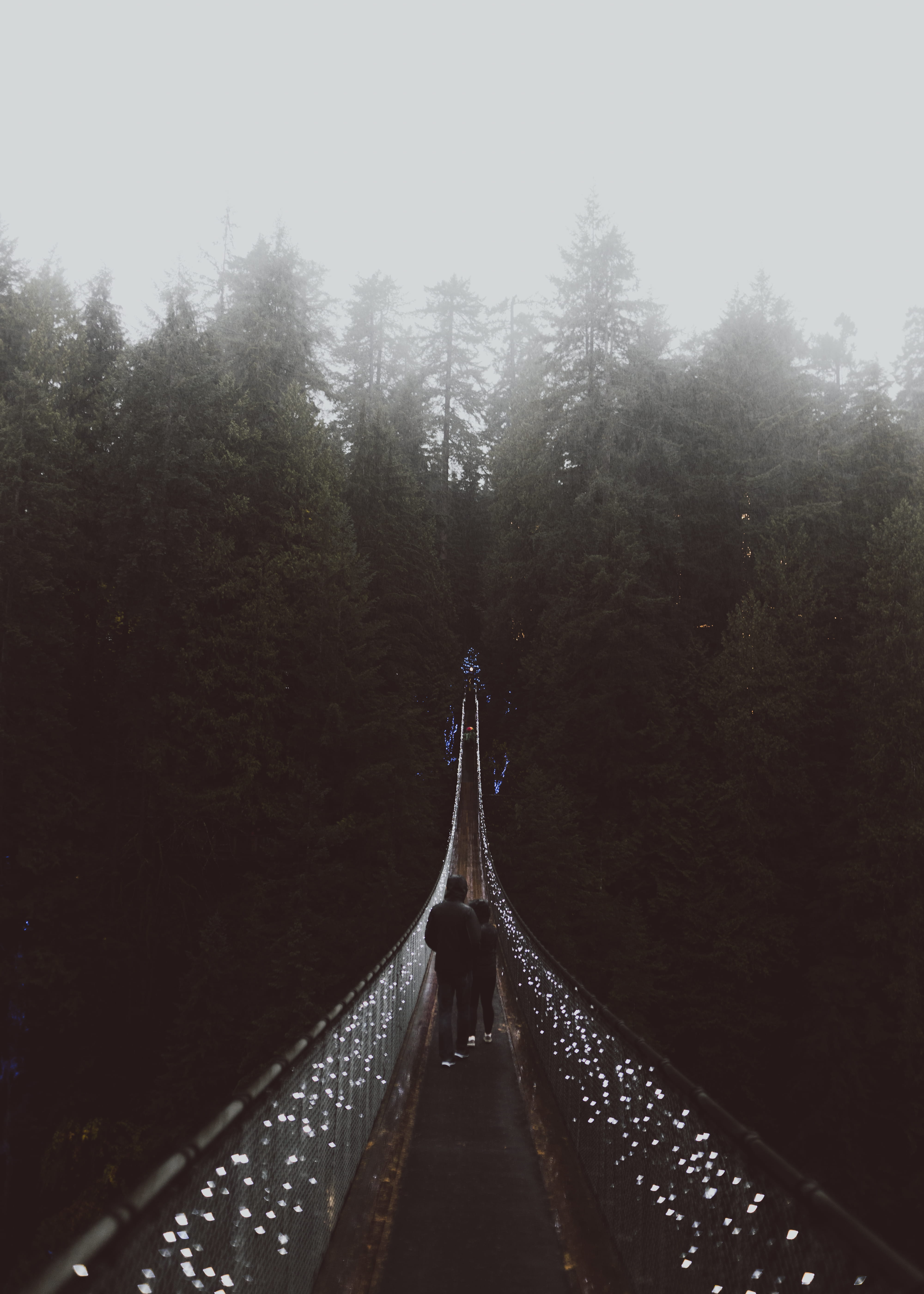 no People, forest, 5K, tourism, hanging, couple, person, famous Place, travel, dark, people, nature, adventure, landscape, together, outdoors, hiking, Phone HD Wallpaper