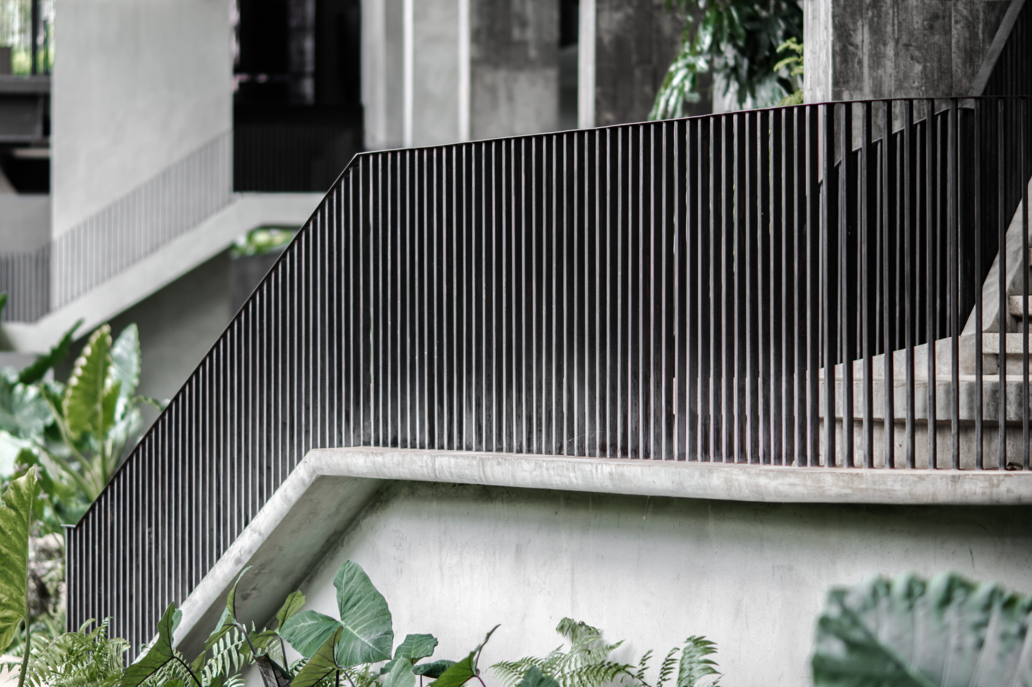 handrails, railing, plants, staircase, building, plant part, built structure, fuel and power generation, alternative energy, metal, focus on foreground, HD Wallpaper