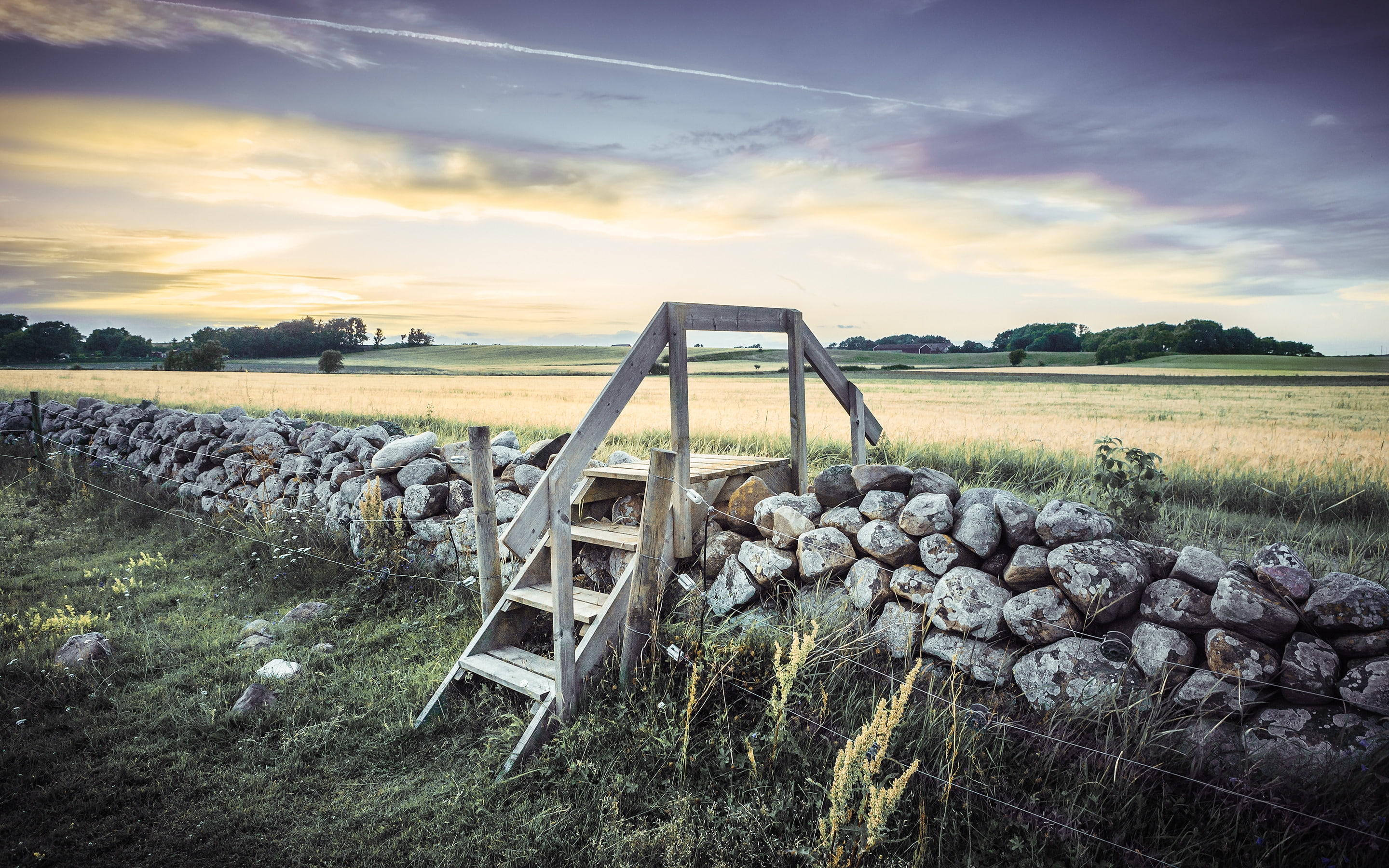 stairway, serenity, meadows, landscape, 2K, HD Wallpaper
