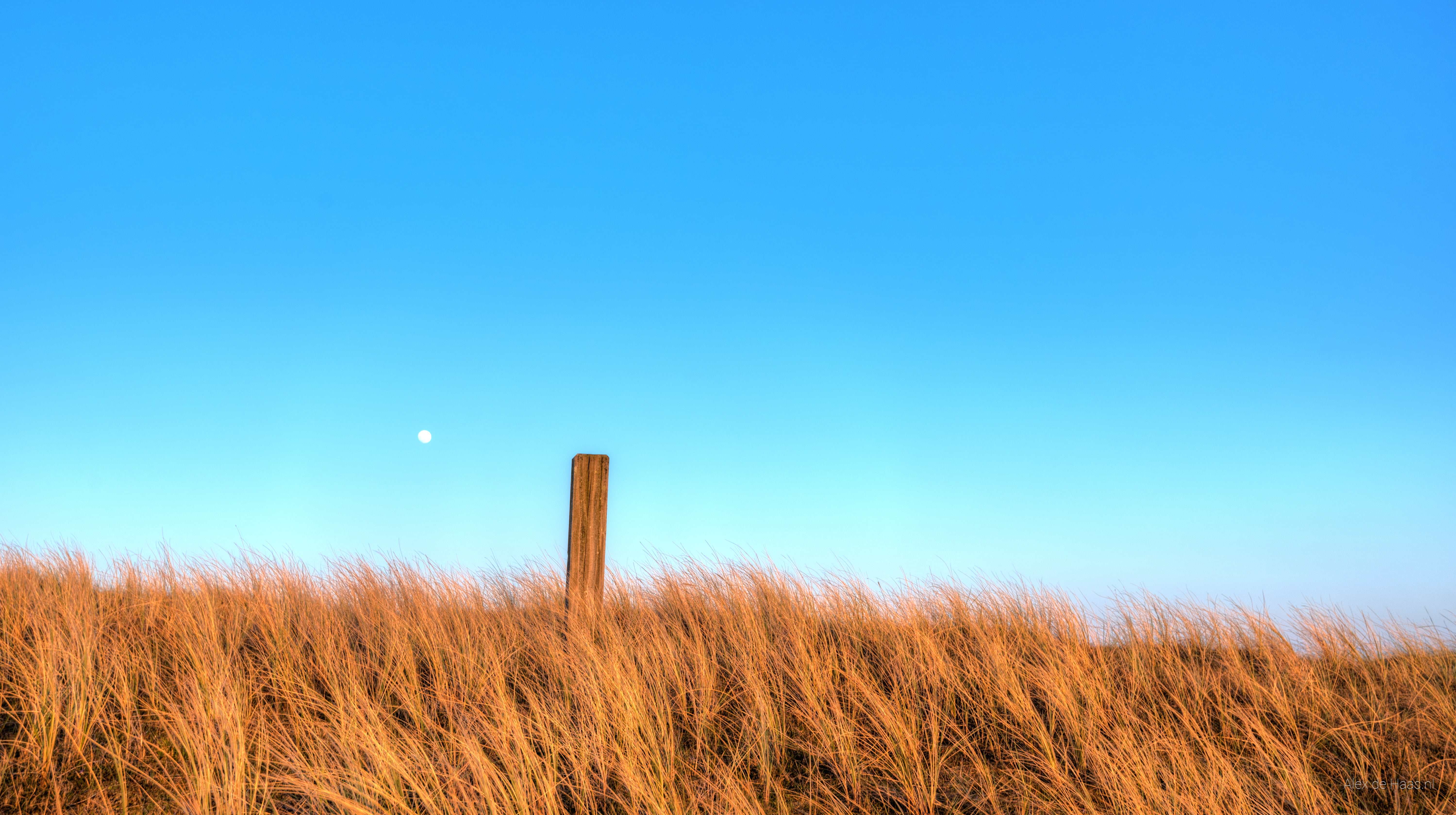 field, wheat, blue sky, Nikon, outdoors, brown, Nikkor, lucht, sky, HDR, scenery, landscape, photography, Netherlands, Julianadorp, nature, sky.  landscape, HD Wallpaper