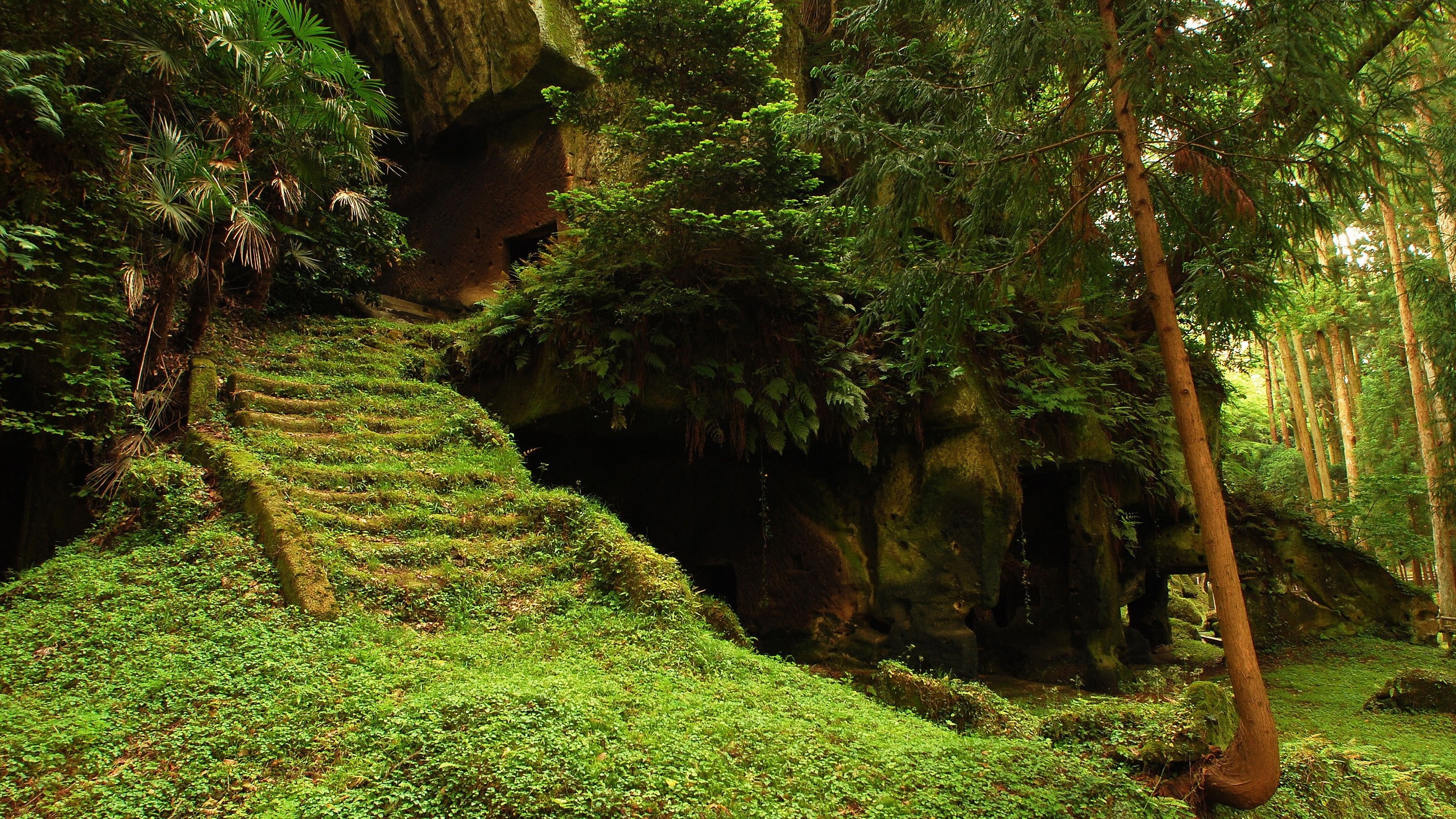 trees, forest, art, x, hd, forests, ruins, Landscapes, grass, stairways, 2K, nature, view, HD Wallpaper