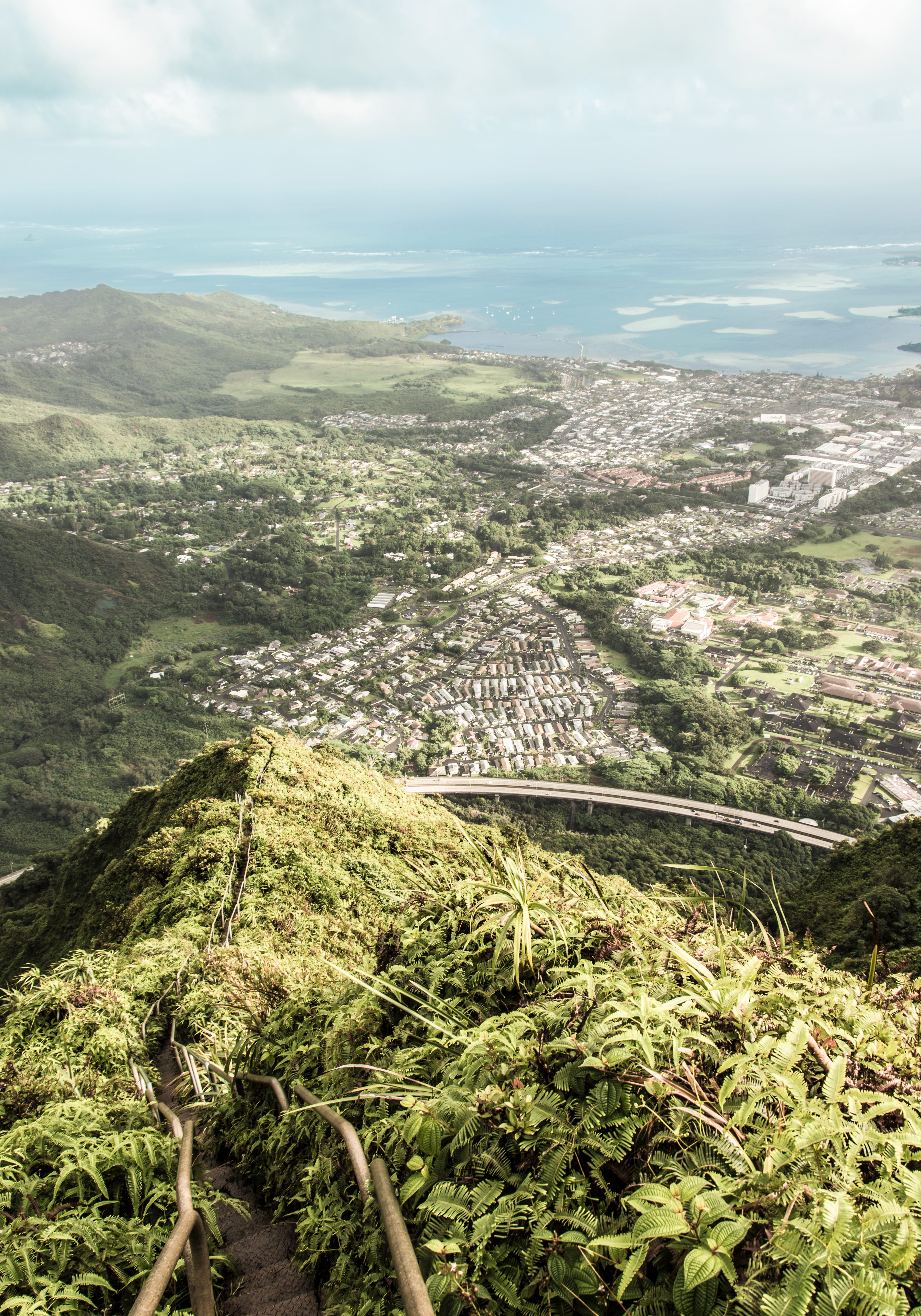 architecture, united states, environment, mountain, kaneohe, tree, beauty in nature, 5K, no people, travel, haiku stairs, hike, outdoors, trees, day, nature, Phone HD Wallpaper