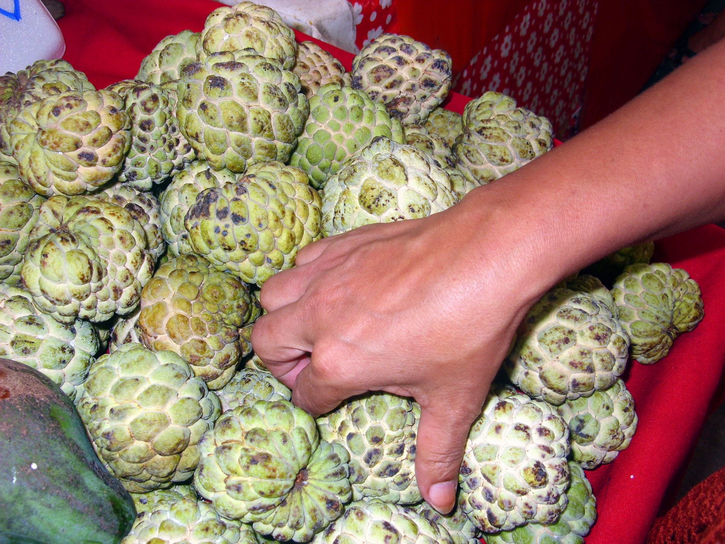 sale, noi na, fruit, food, day, 1080P, large group of objects, human hand, food and drink, tard apple, wellbeing, healthy eating, exotic, hand, thai, real people, HD Wallpaper