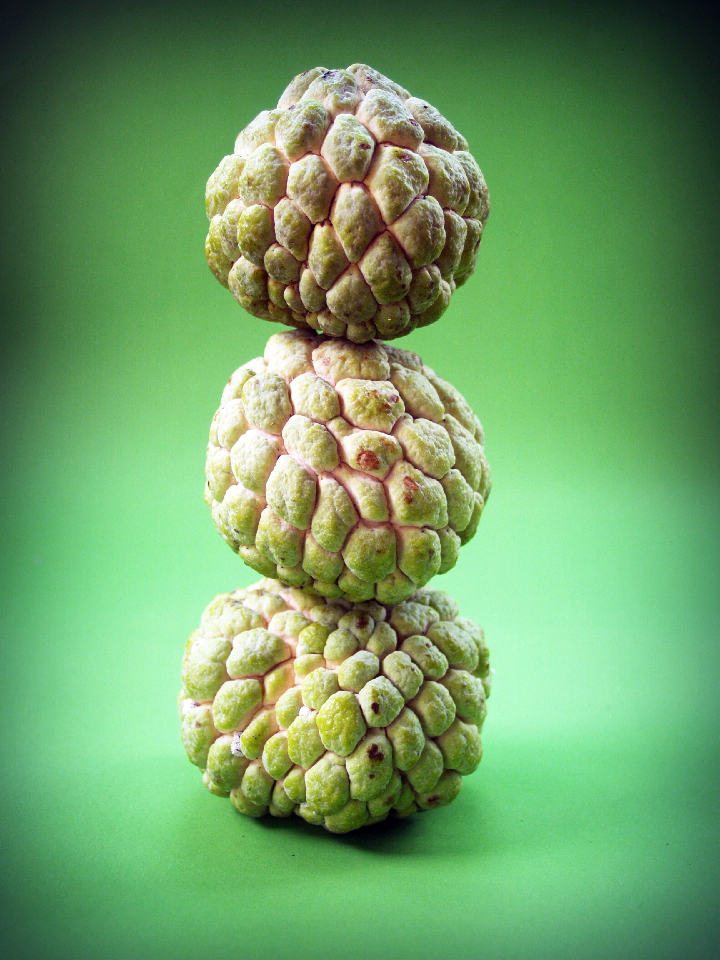 exotic, vitamins, vegetable, fruit, nutrition, nutritious, leaves, growing, custard apple, plump, custard, colored background, freshness, vignette, fresh, Phone HD Wallpaper