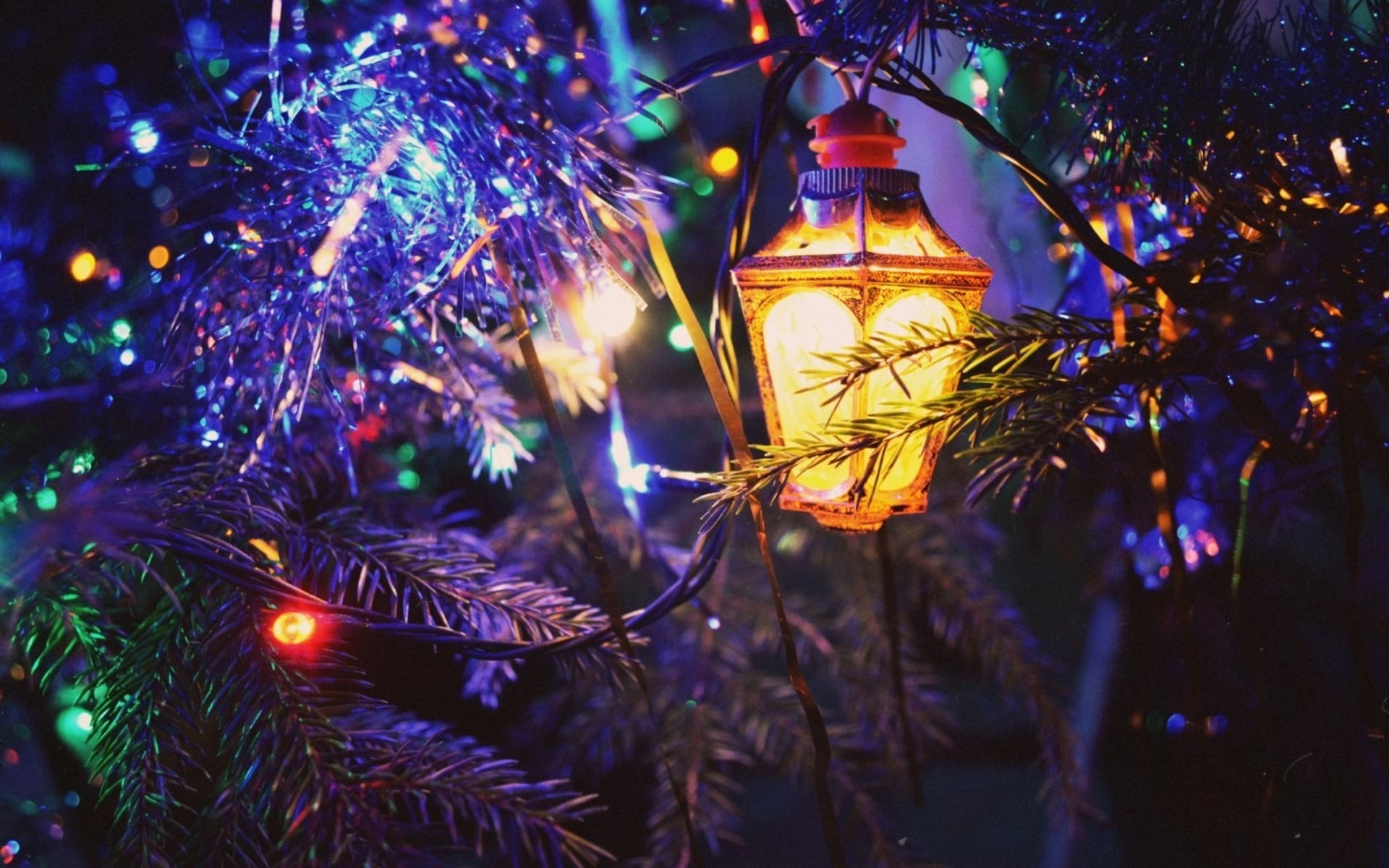 celebration, close-up, celebration event, lighting equipment, light, white, holiday, event, christmas lights, focus on foreground, hanging, electricity, HD Wallpaper