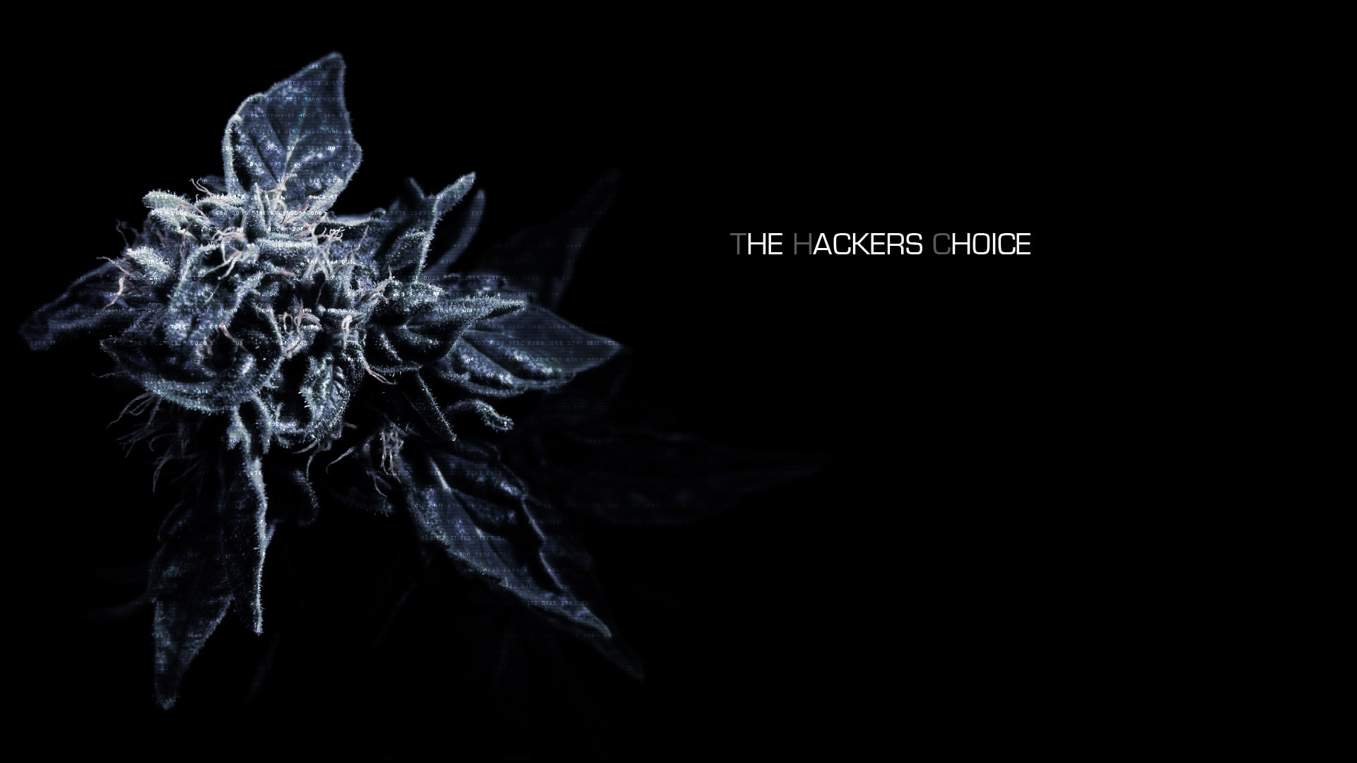 sadic, hacker, anarchy, computer, dark, 1080P, HD Wallpaper