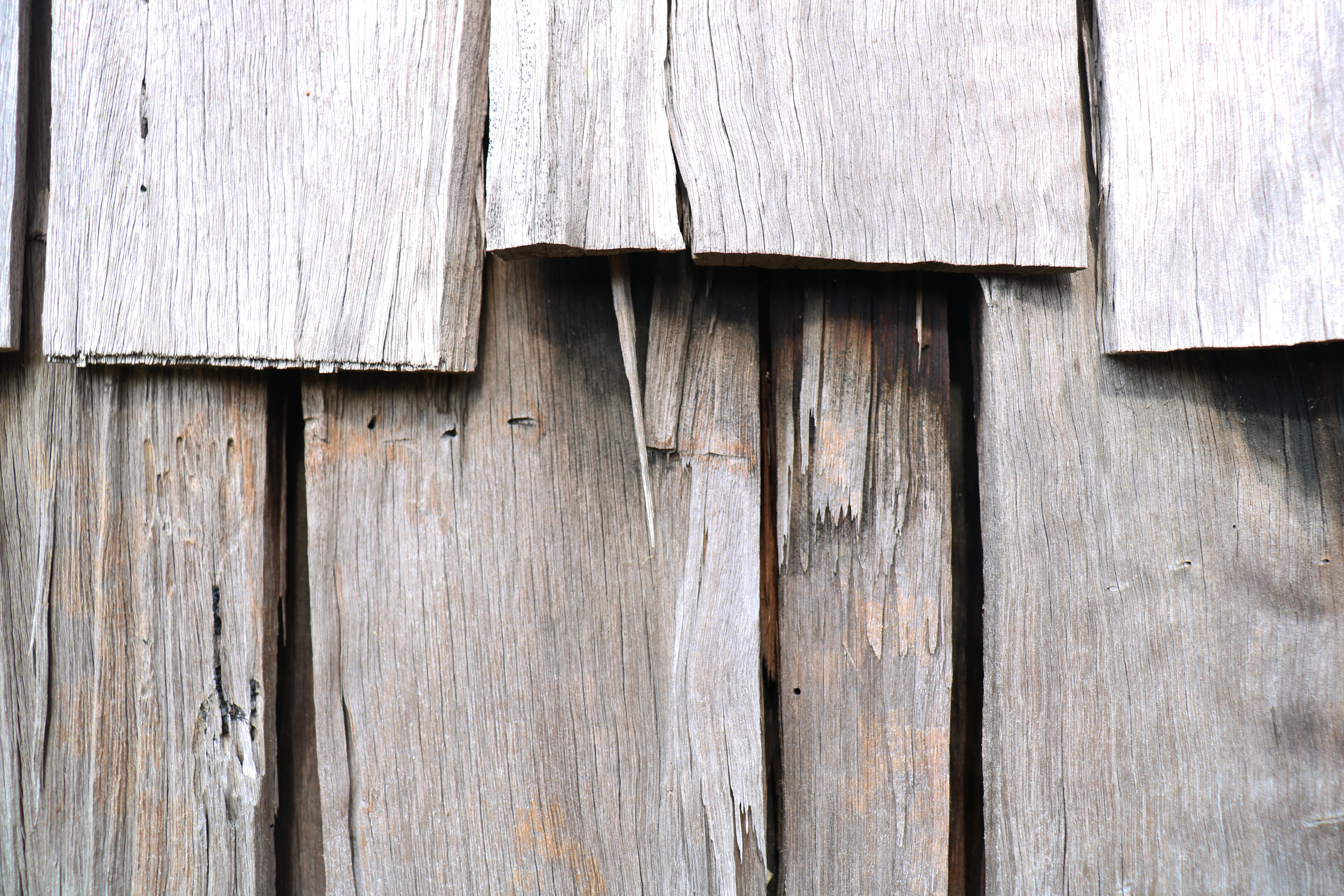 close-up, house, wooden, texture, 5K, outdoors, damaged, pattern, built structure, building exterior, backgrounds, forest, slats, close up, textured, nature, HD Wallpaper
