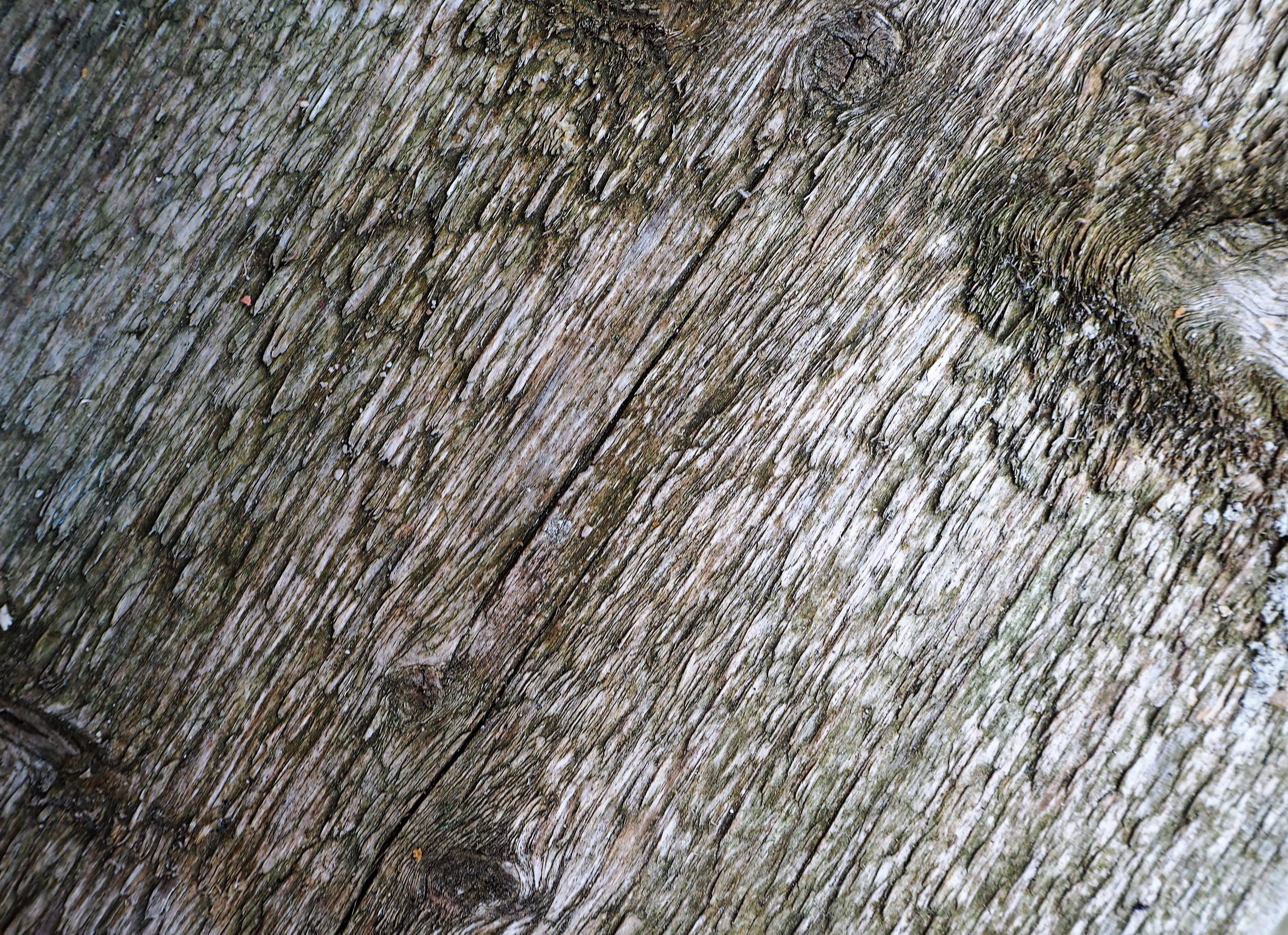 abstract, background, boards, natural pattern, wood, backgrounds, grain, rough, battens, wooden slat, wood grain, day, textured effect, full frame, 4K, HD Wallpaper