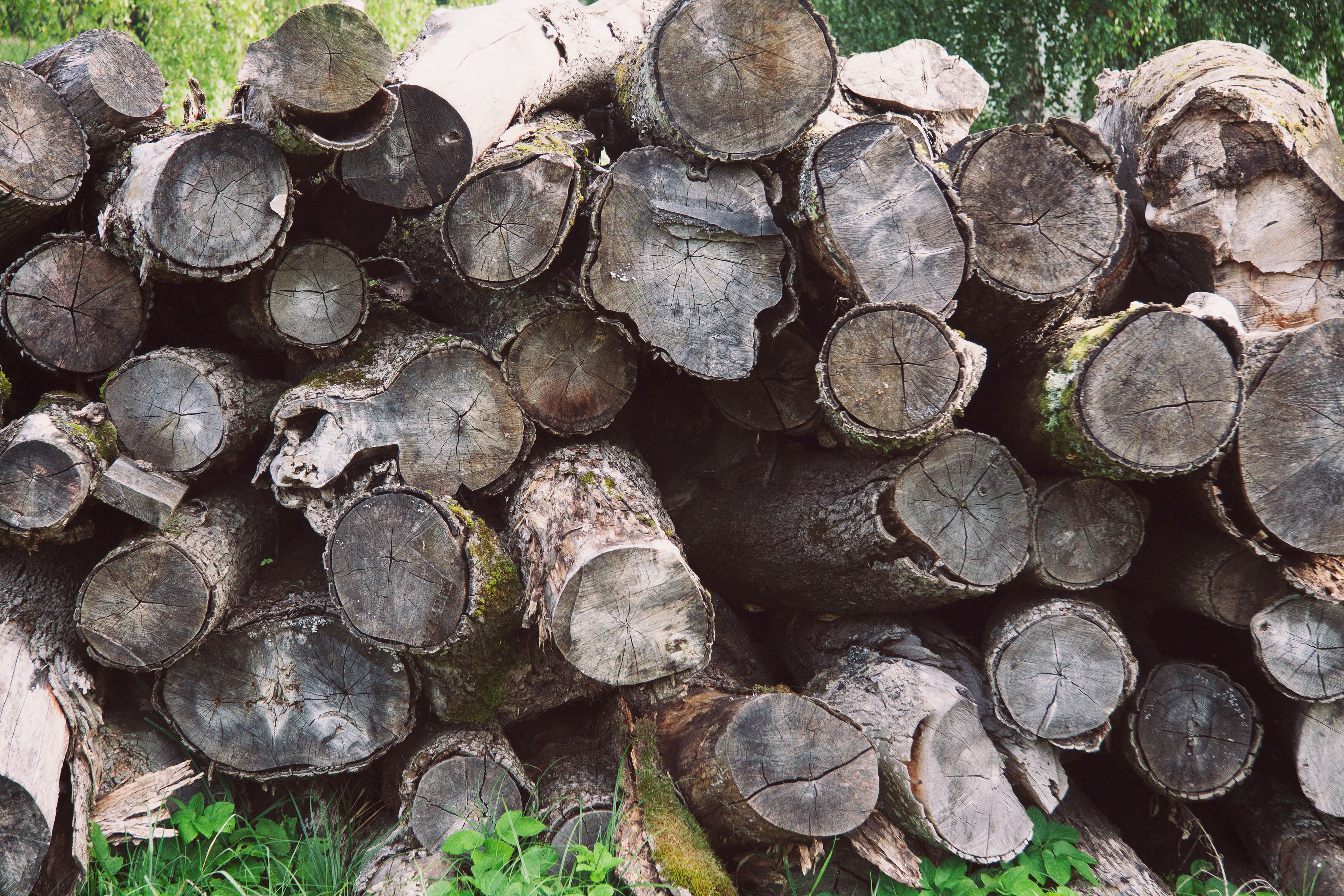 hardwood, 4K, heap, recycling, environment, firewood, bark, cutting, day, fuel and power generation, lumber, tree, trunk, nature, heavy, brown, woodpile, HD Wallpaper